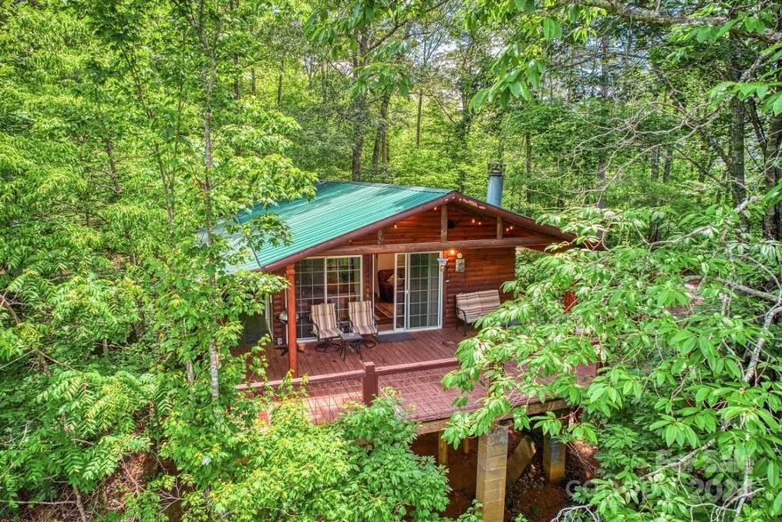 Welcome to your cabin in the Smokies! This fully furnished cabin is what everyone is looking for. Imagine being nestled in the trees for a treehouse feel, bordering the US Forest Service! This cabin features two bedrooms, two baths, and a finished basement( no inside entrance ) with a game room and another sleeping area. The separate outside entrance to the fully finished basement is perfect for families or friends traveling together. There have been many updates to the home, such as flooring, tongue and groove ceilings, and mini splits. The covered front porch provides a sense of solitude as you peek into the forest. The ideal location is close to Fontana Lake, Bryson City, and the National Park. This home is a nature lovers paradise, with the US Forest Service just a step away. An adventurous person might hike to the lake through the USFS! It's all downhill! Enjoy the freedom of easy access and no restrictions!