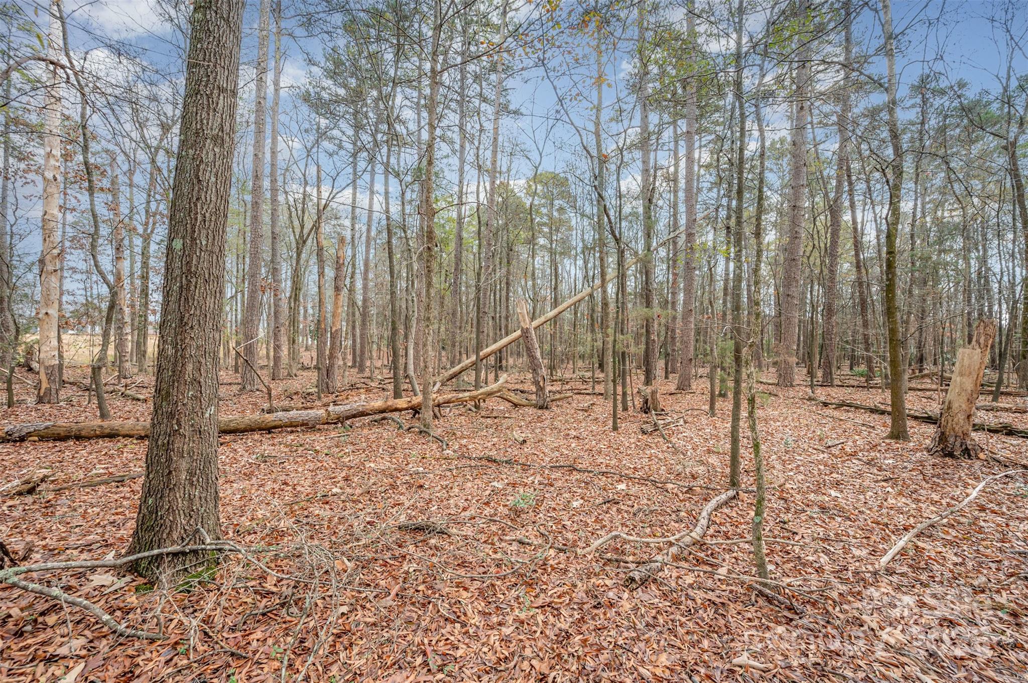 Shannon Hills - Land