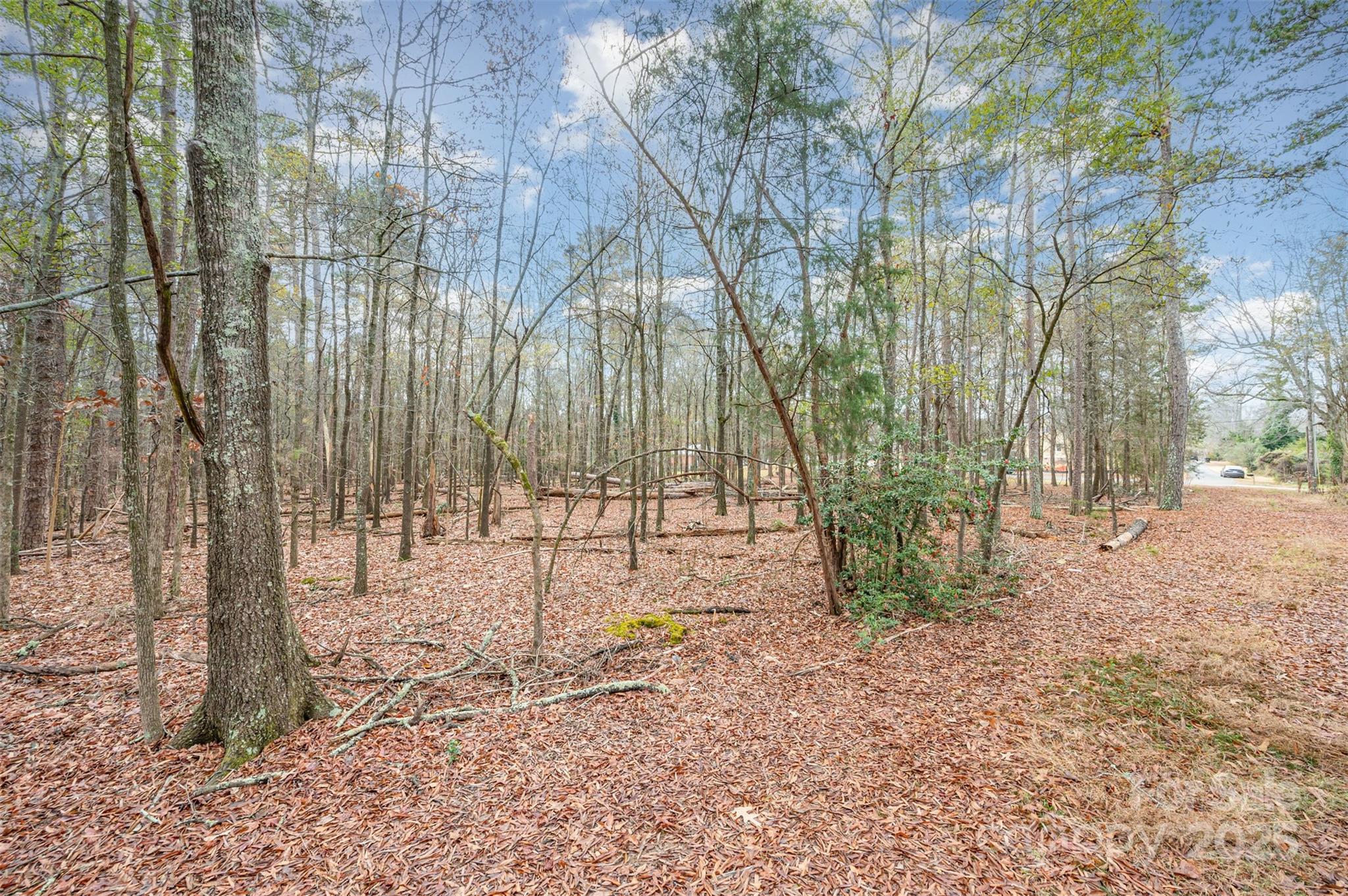 Shannon Hills - Land