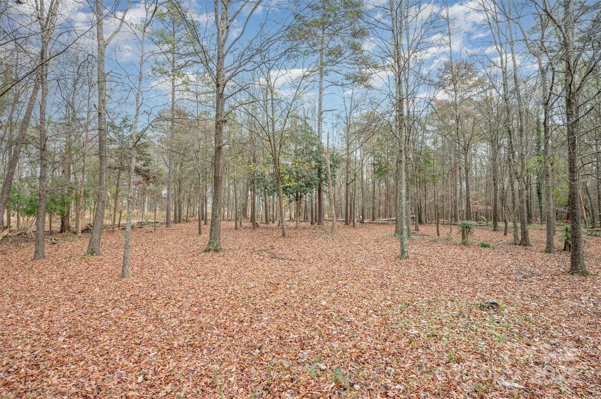 Shannon Hills - Land