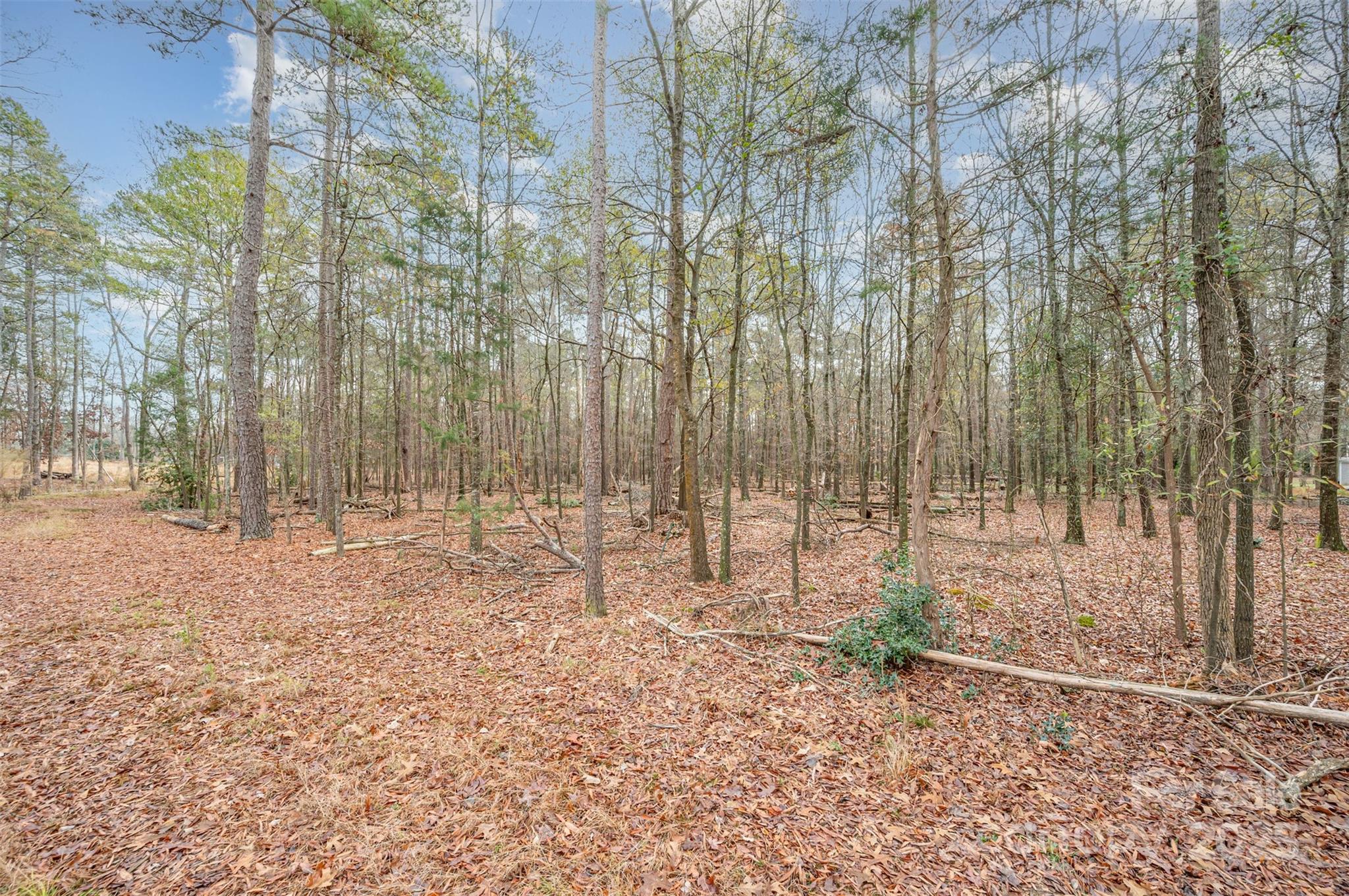 Shannon Hills - Land