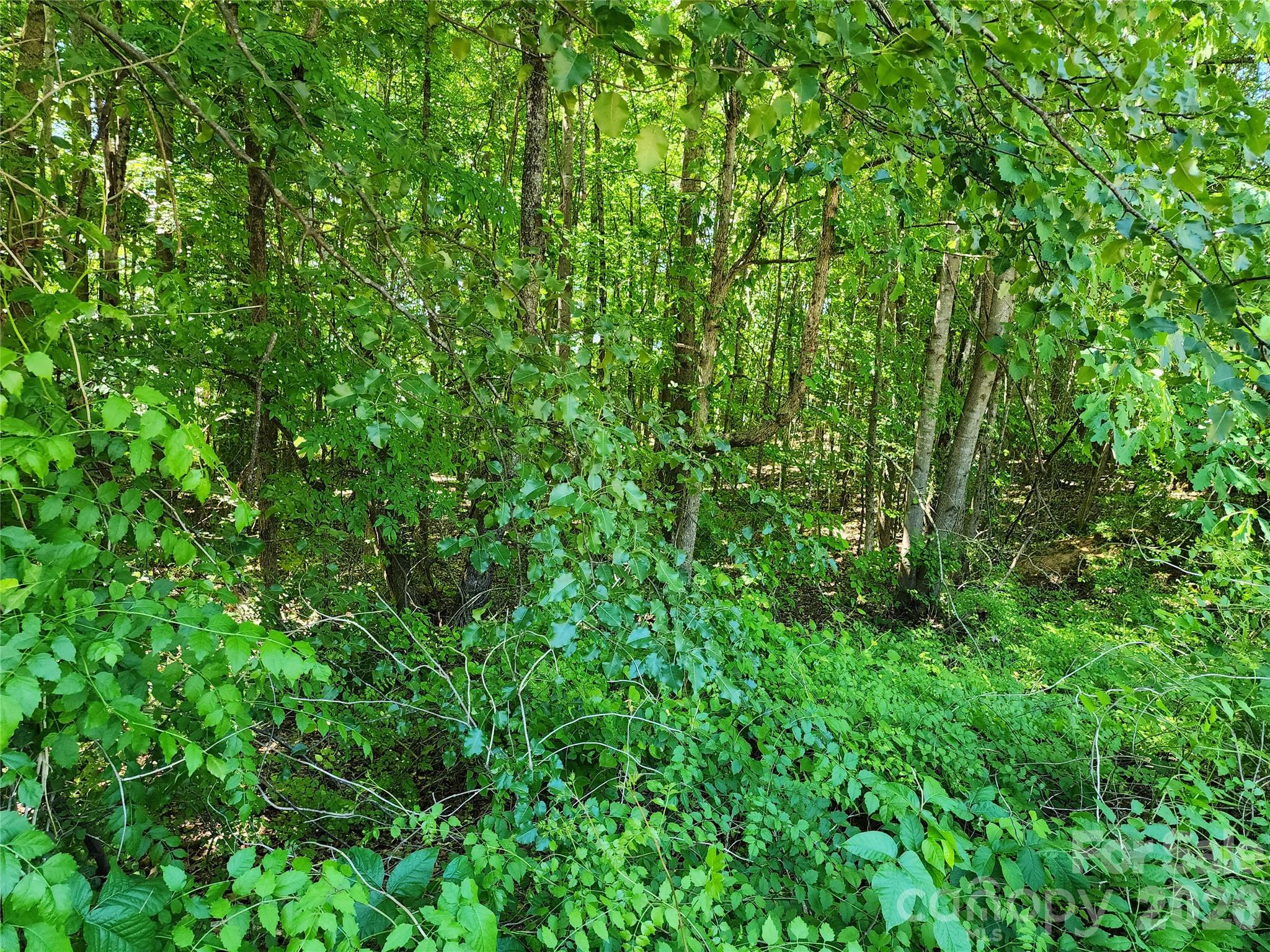 Deer Brook - Land