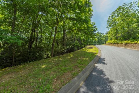1166 Mills River Way 73 Horse Shoe NC 28742