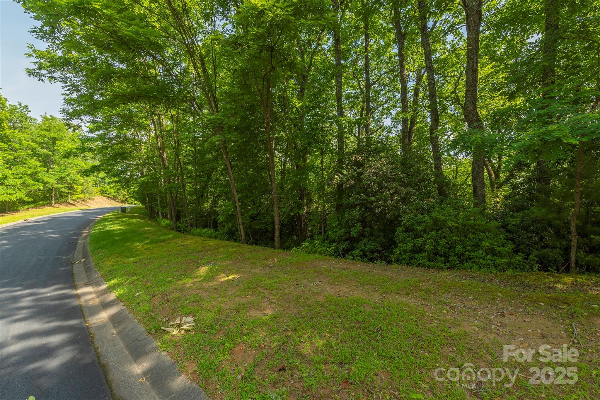 1166 Mills River Way 73