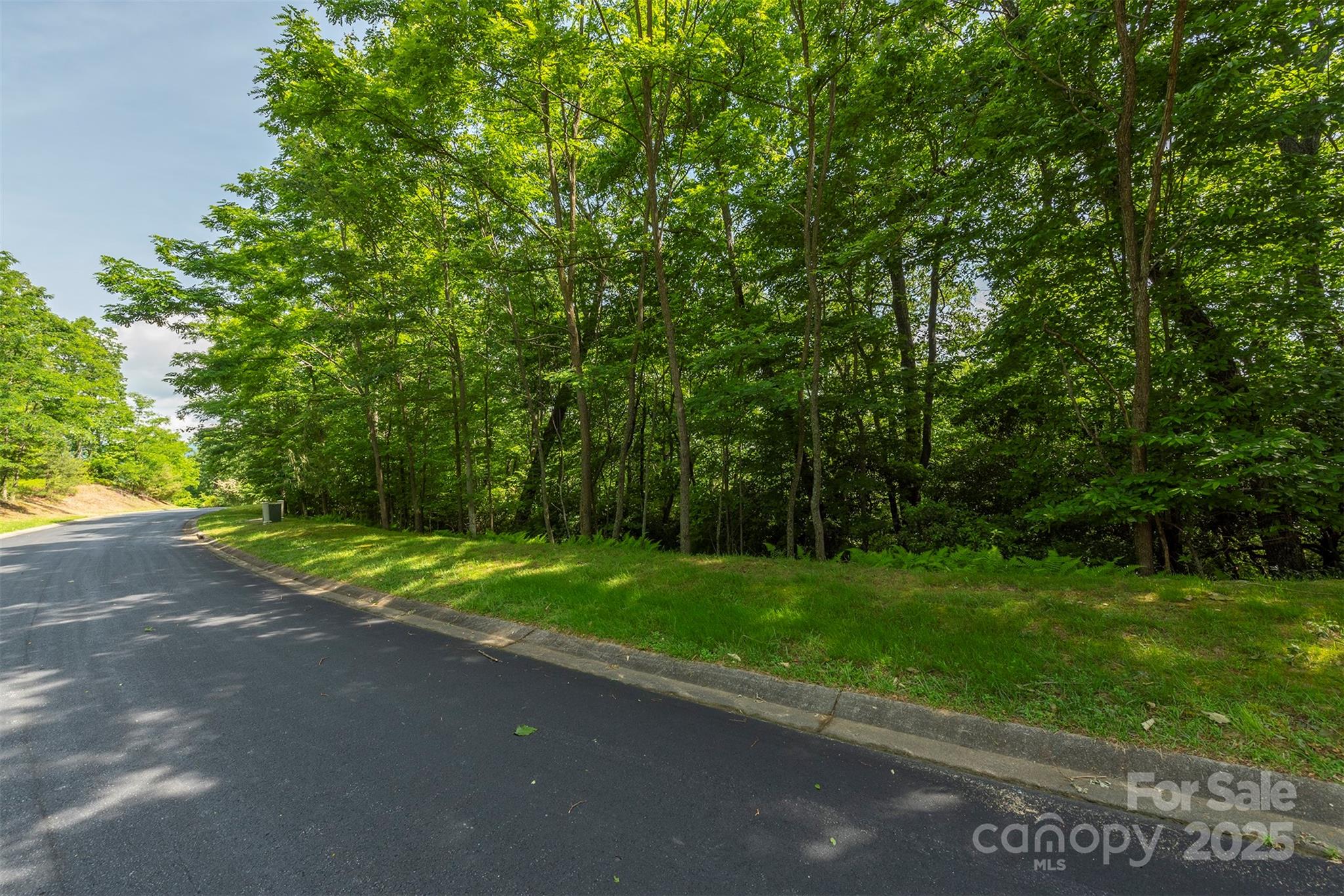 1166 Mills River Way 73