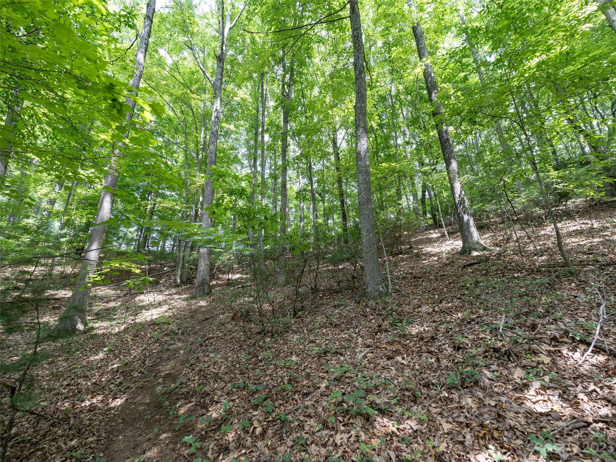 00 Grouse Ridge Road 1