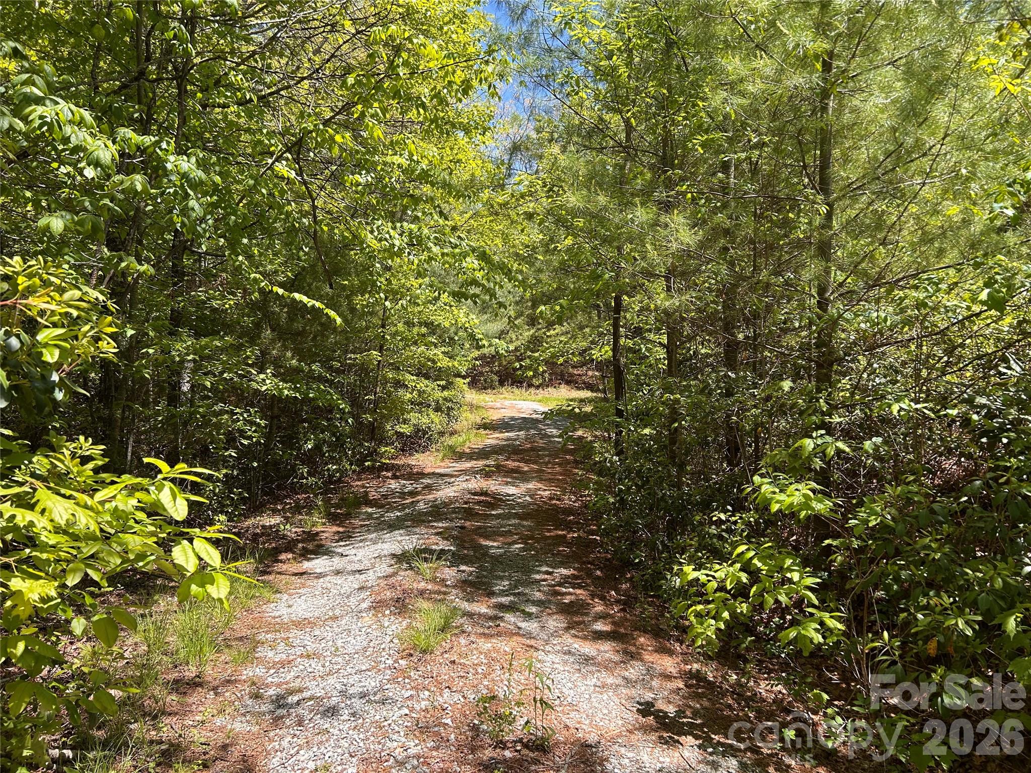 Lake Toxaway Estates - Land