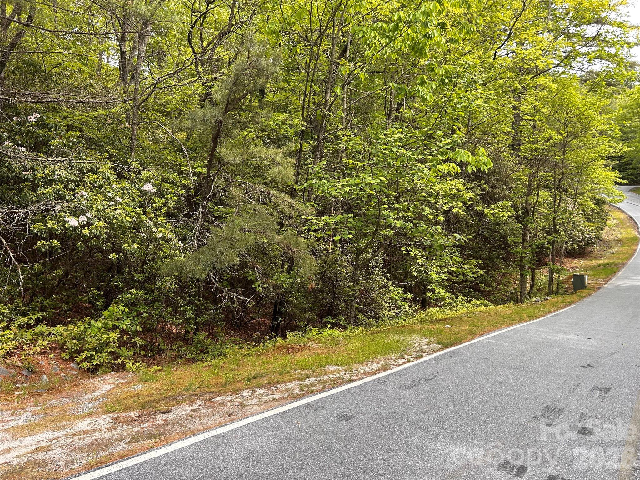 Lake Toxaway Estates - Land