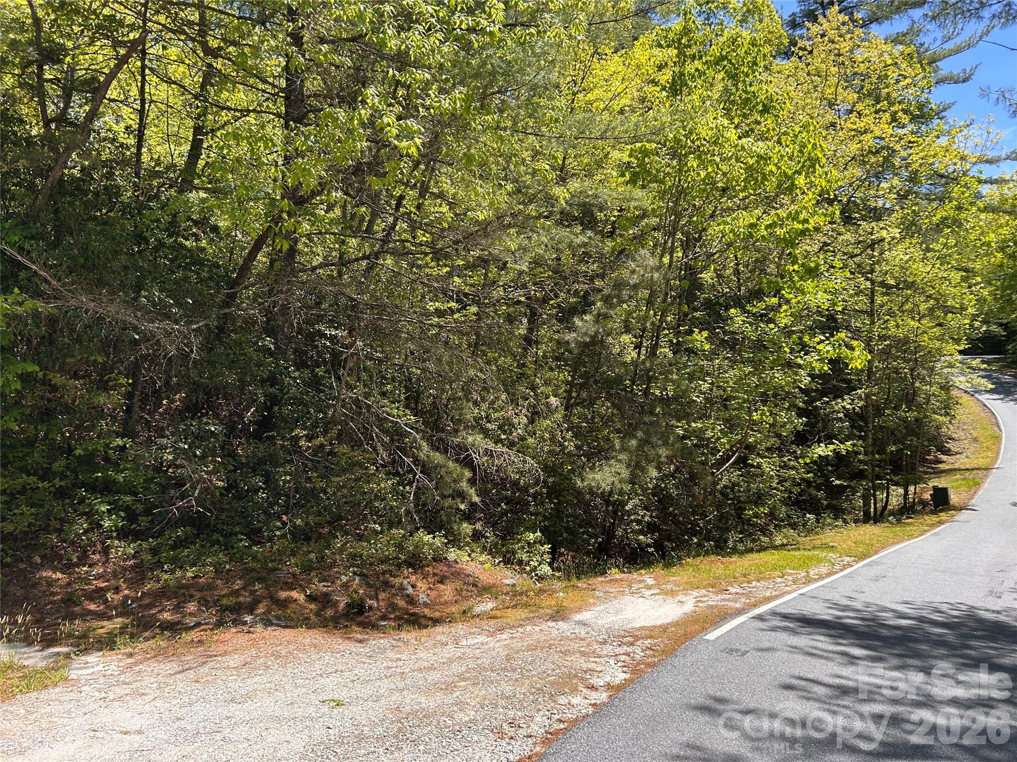 Lake Toxaway Estates - Land