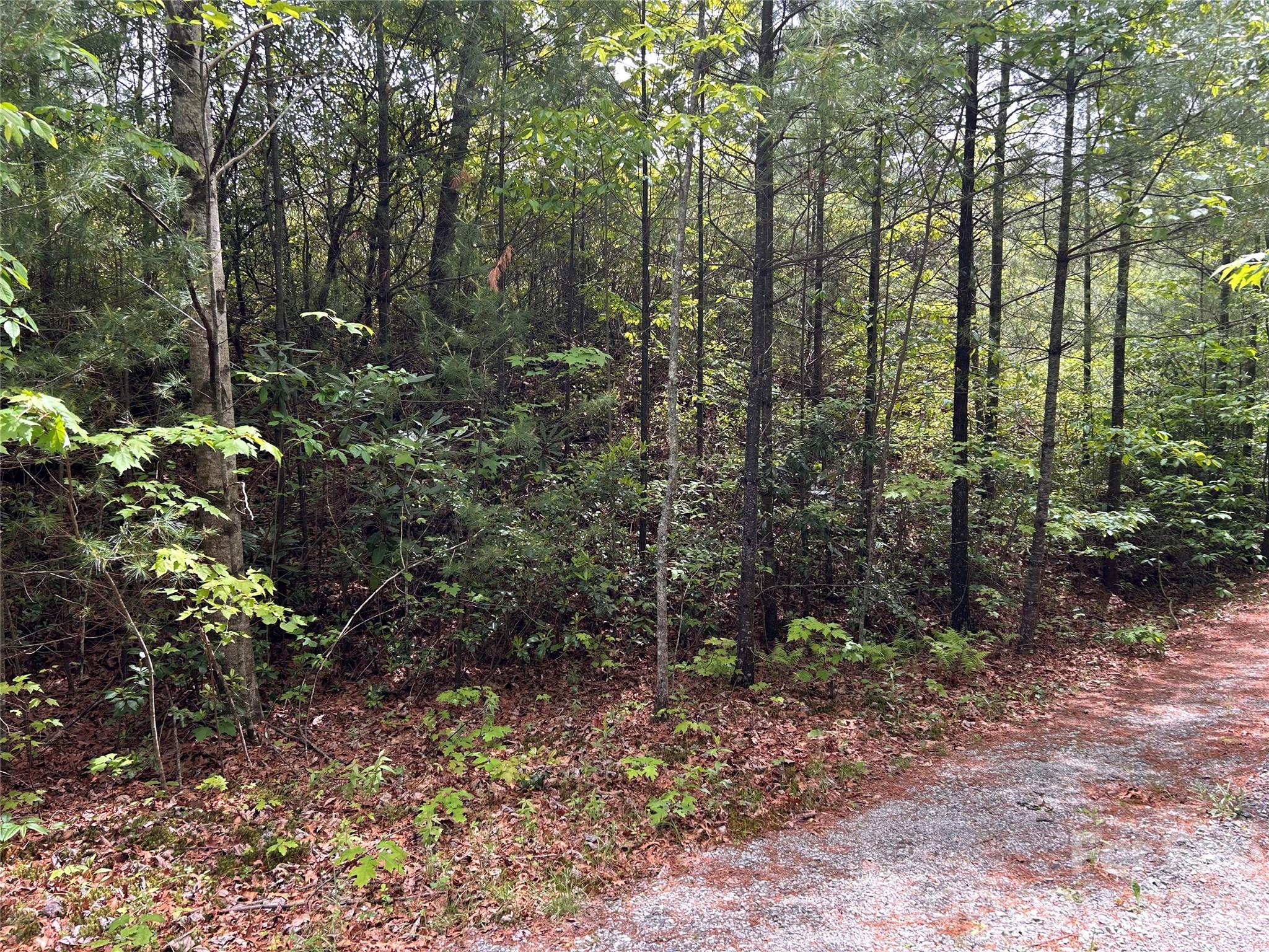 Lake Toxaway Estates - Land