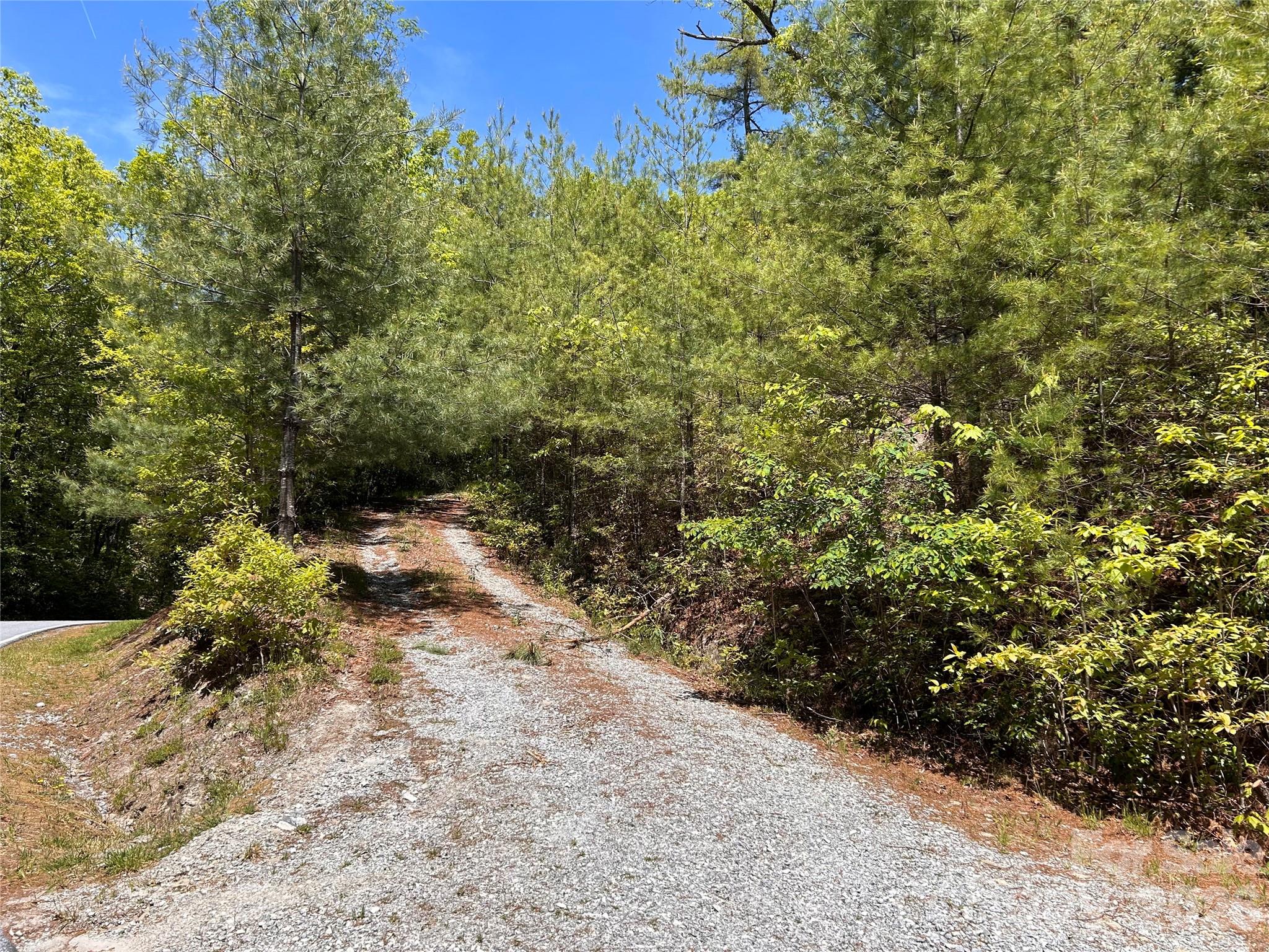 Lake Toxaway Estates - Land