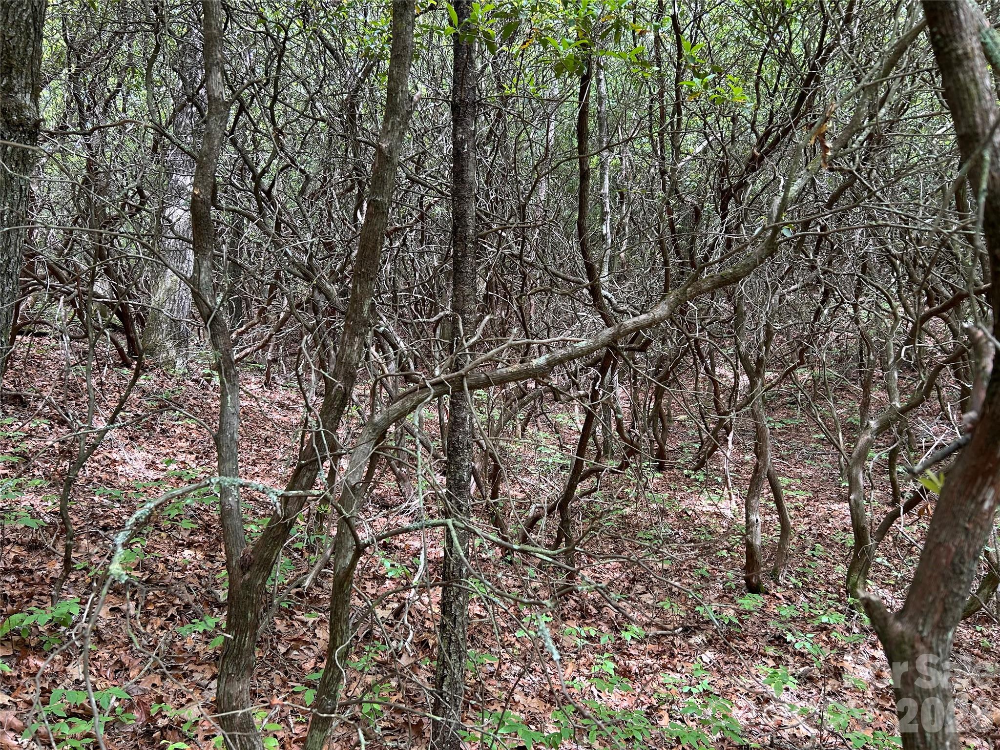 Lake Toxaway Estates - Land