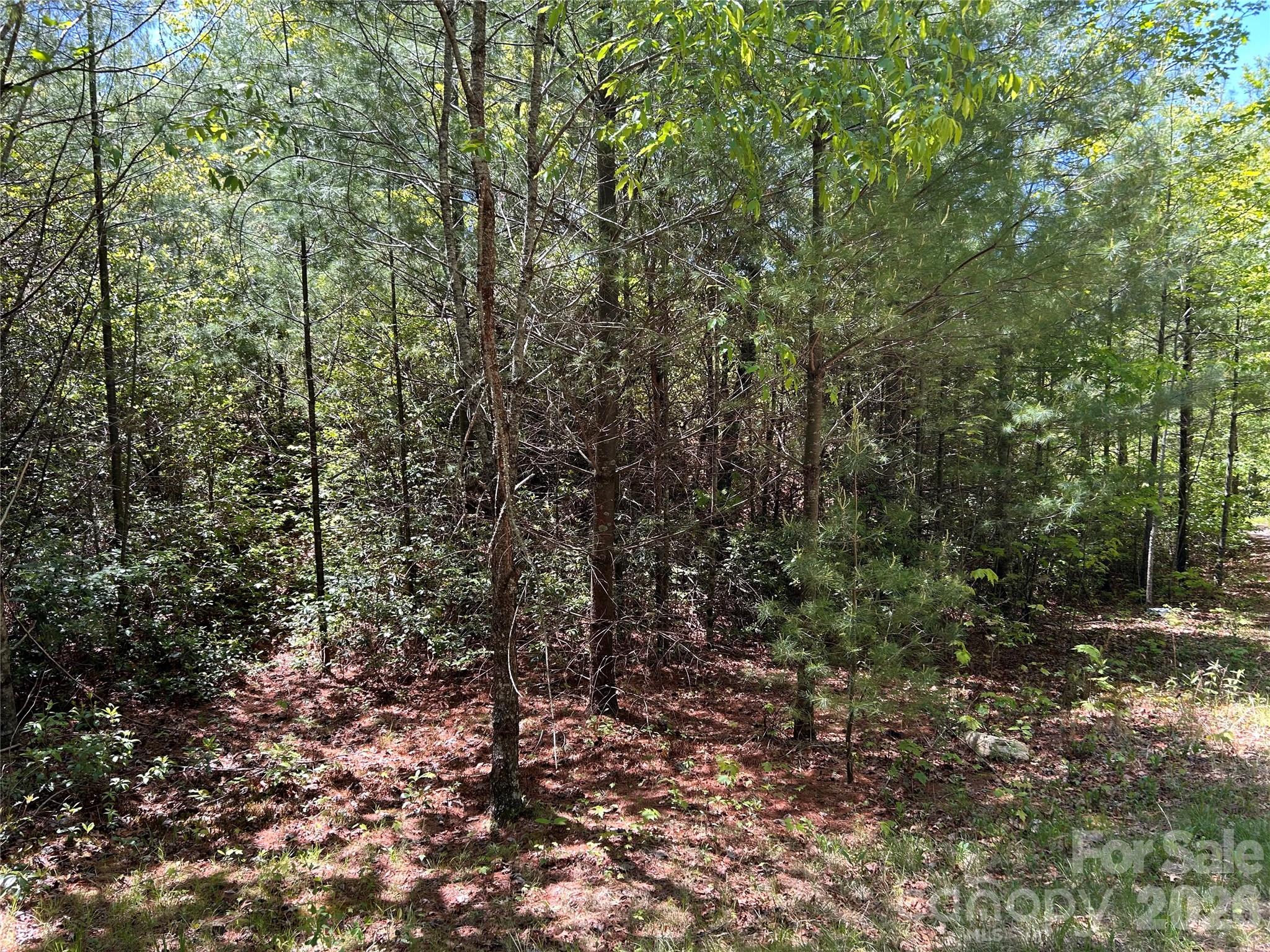 Lake Toxaway Estates - Land