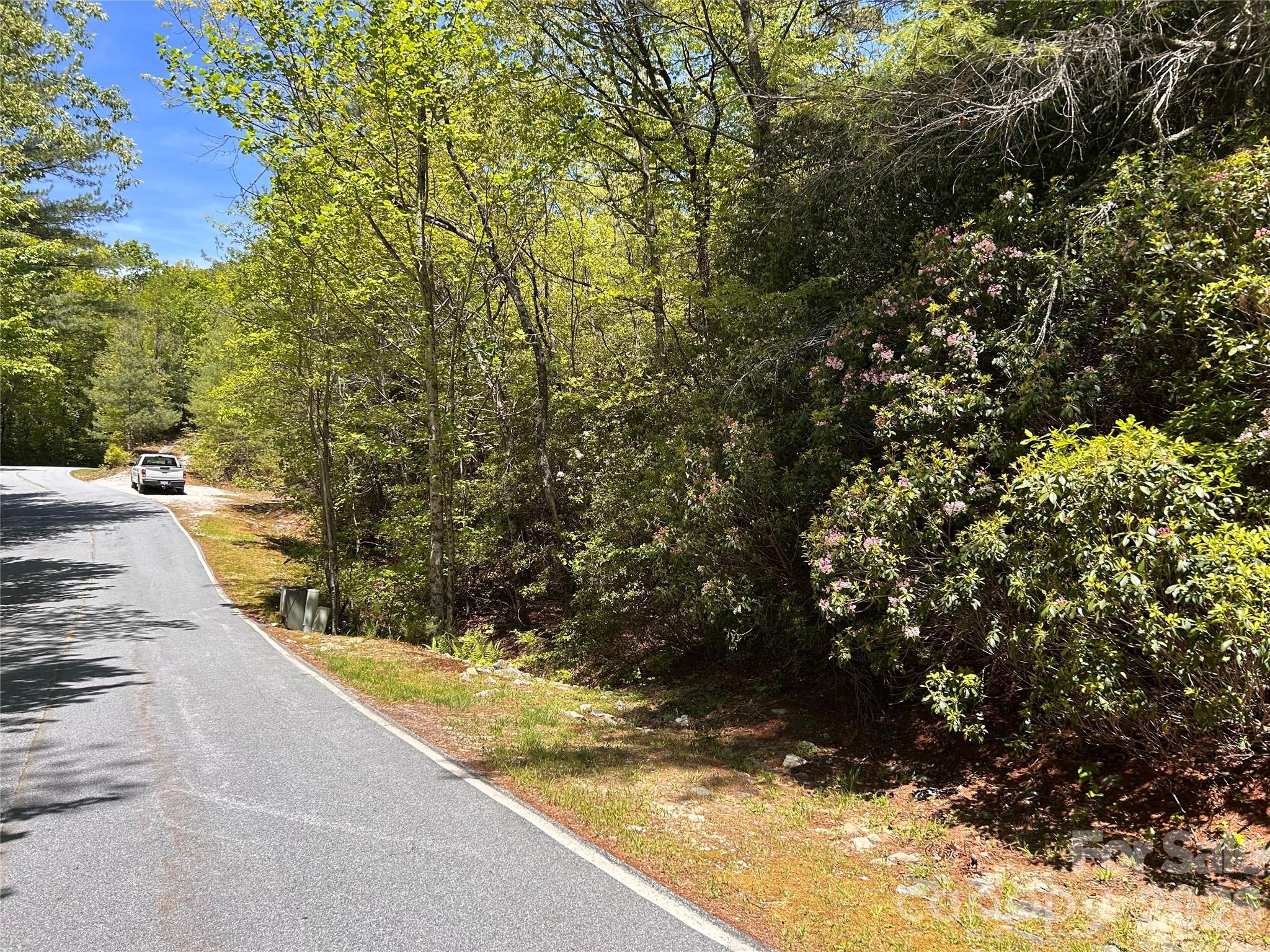 Lake Toxaway Estates - Land