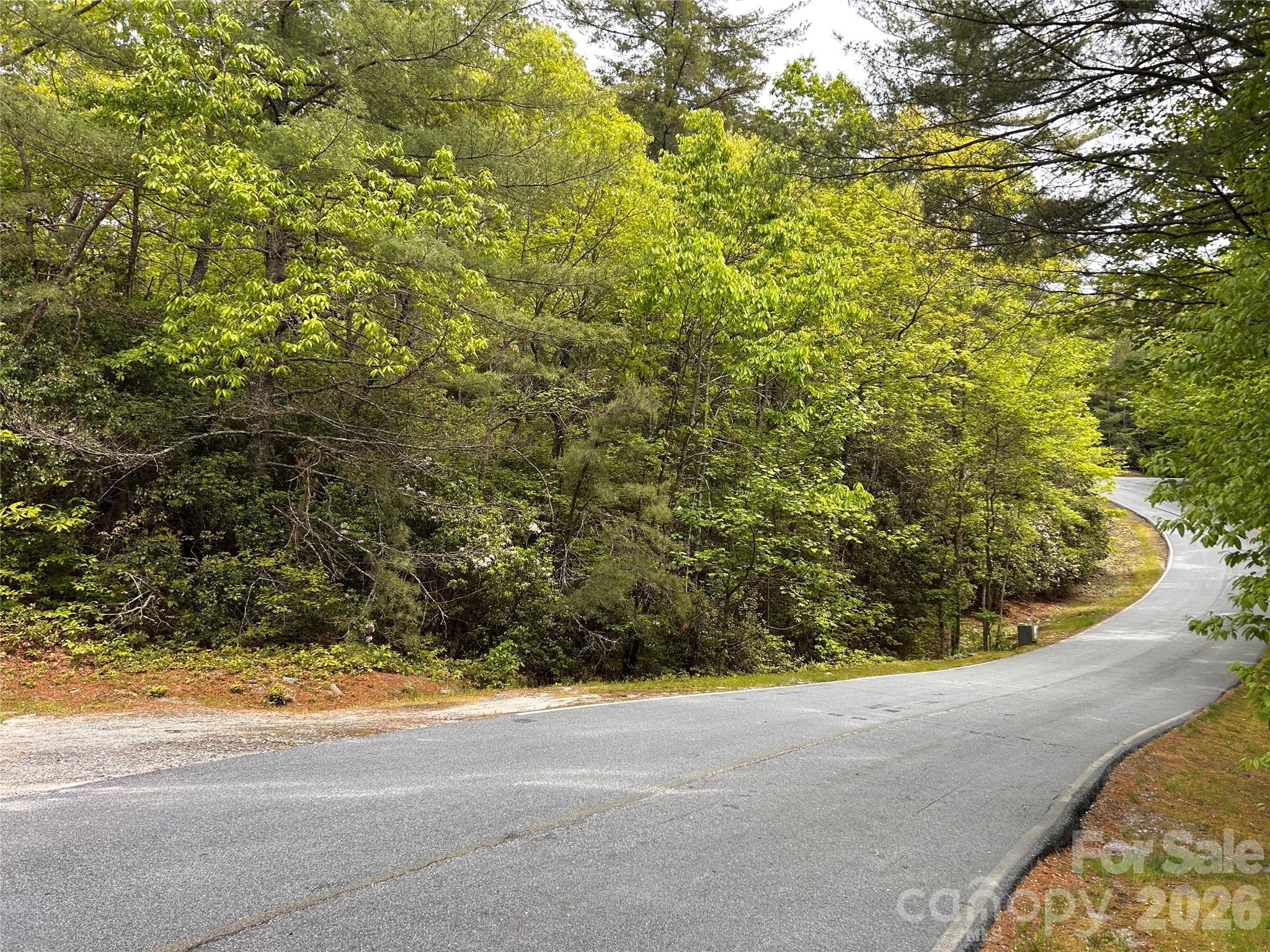 Lake Toxaway Estates - Land