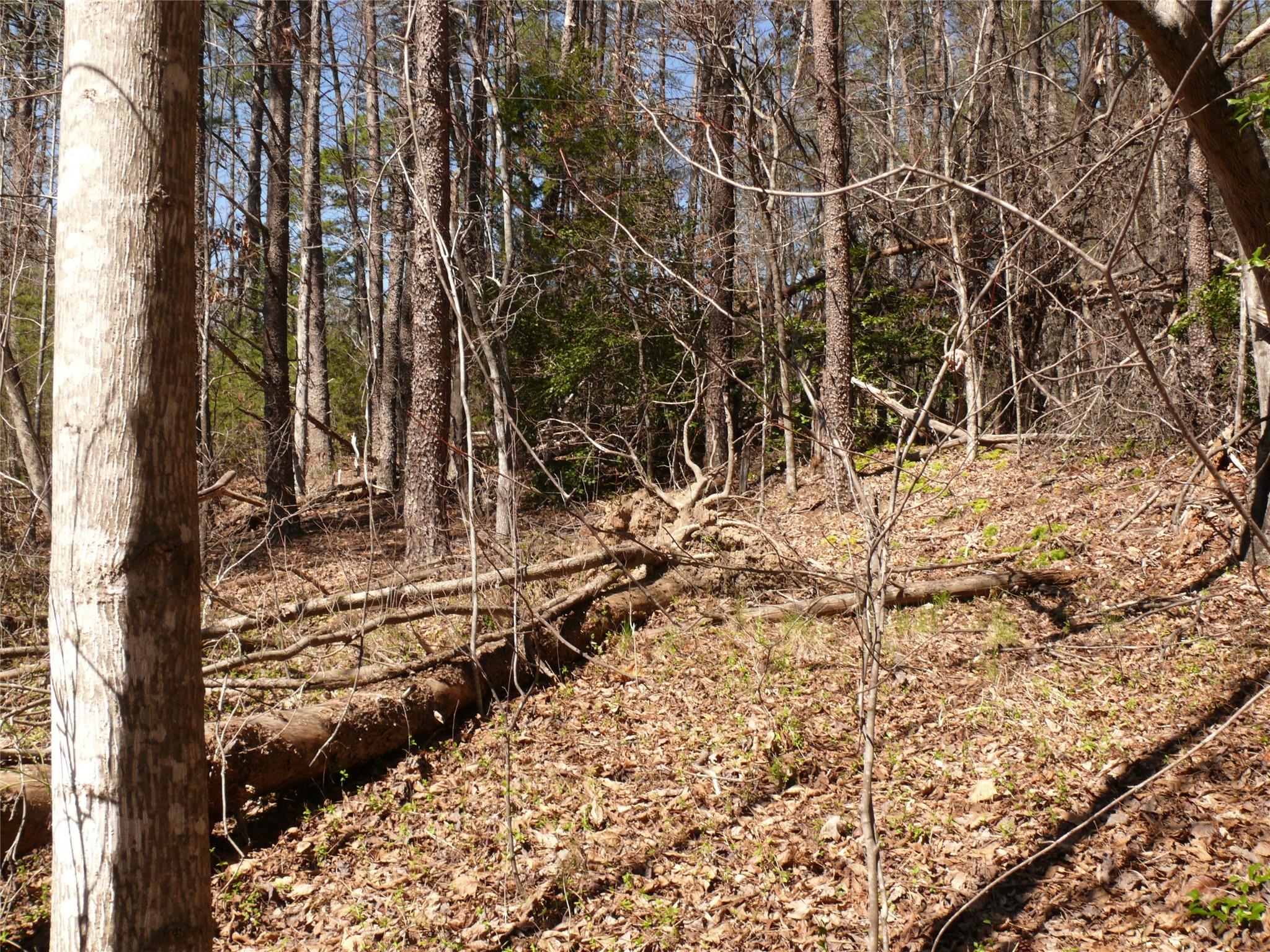 Sweetbriar Farms - Land