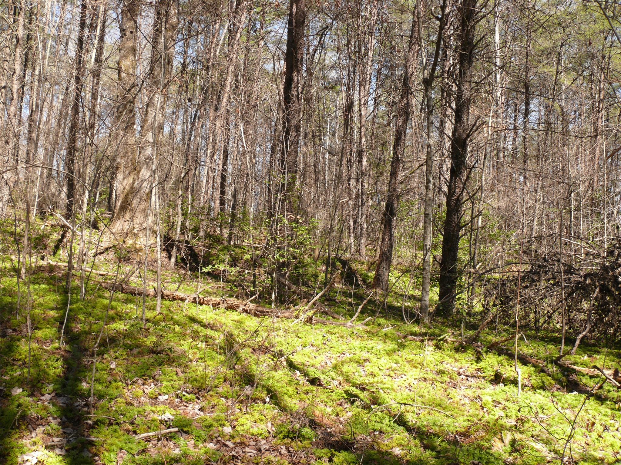 Sweetbriar Farms - Land