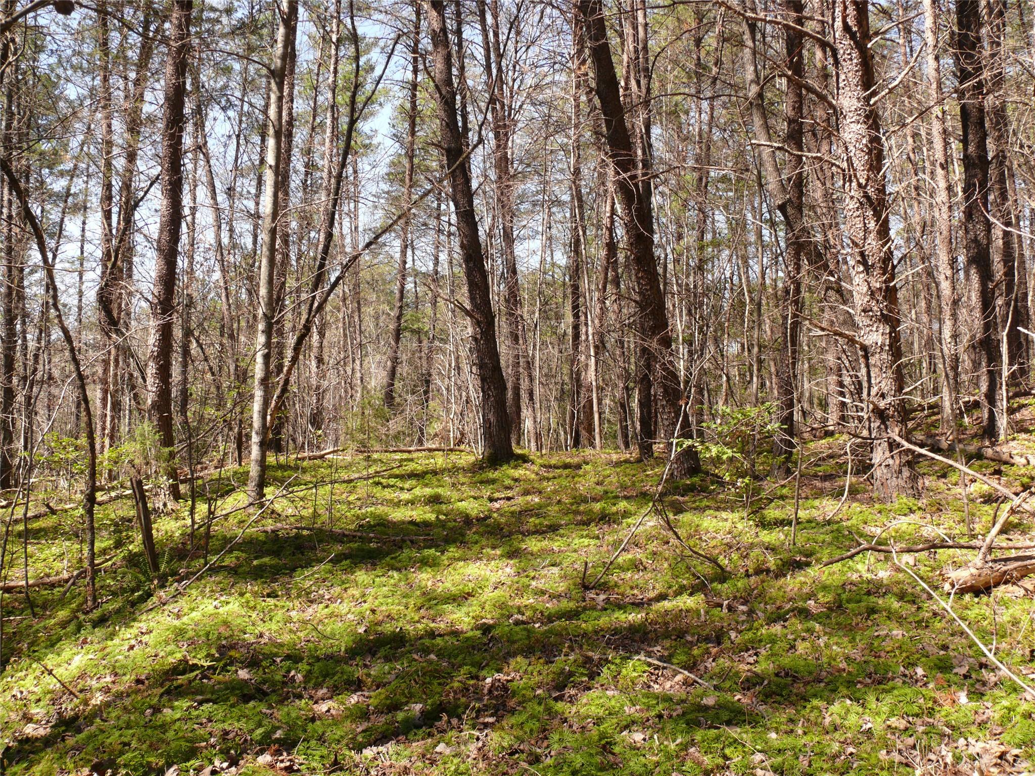 Sweetbriar Farms - Land