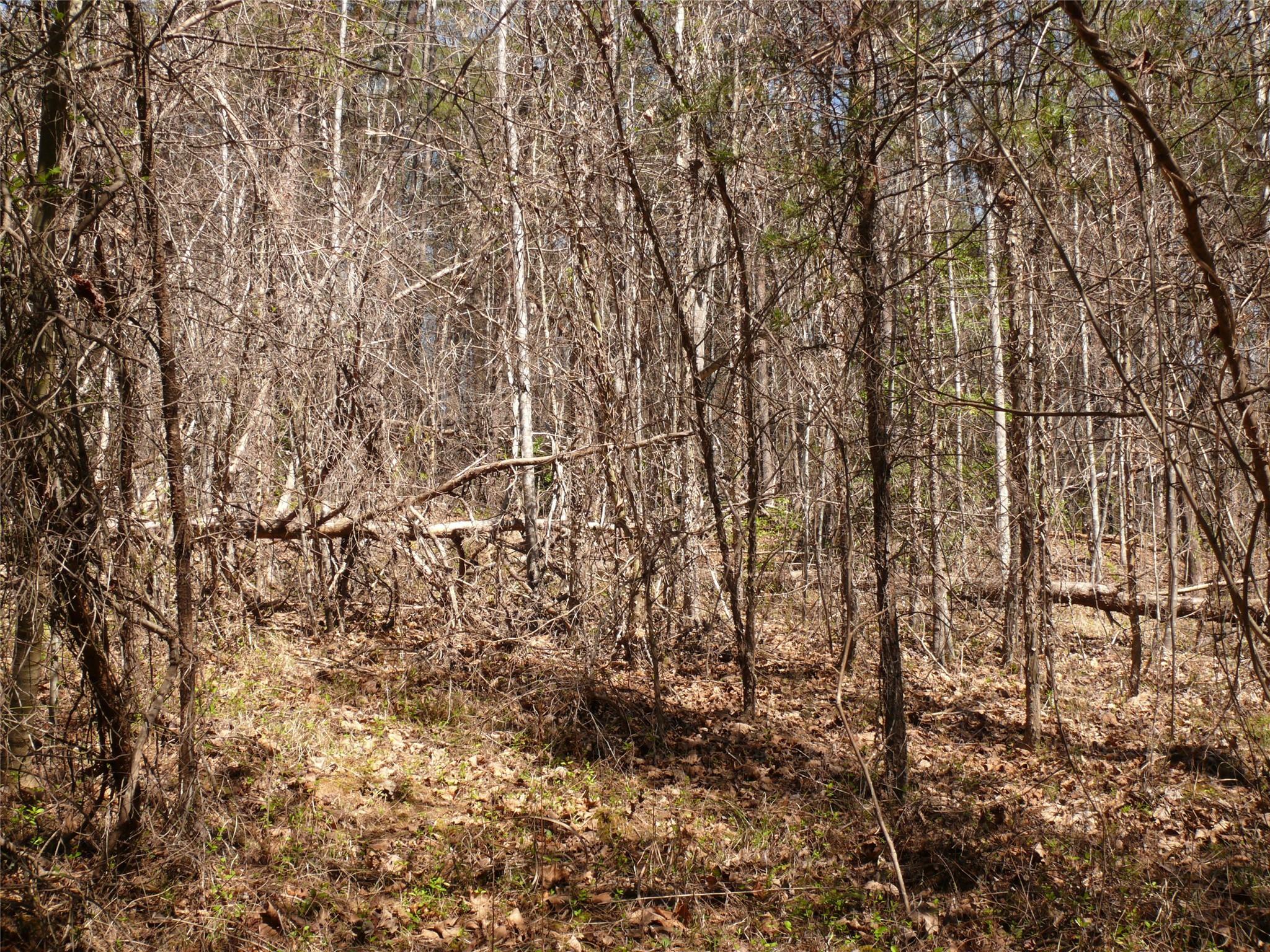 Sweetbriar Farms - Land