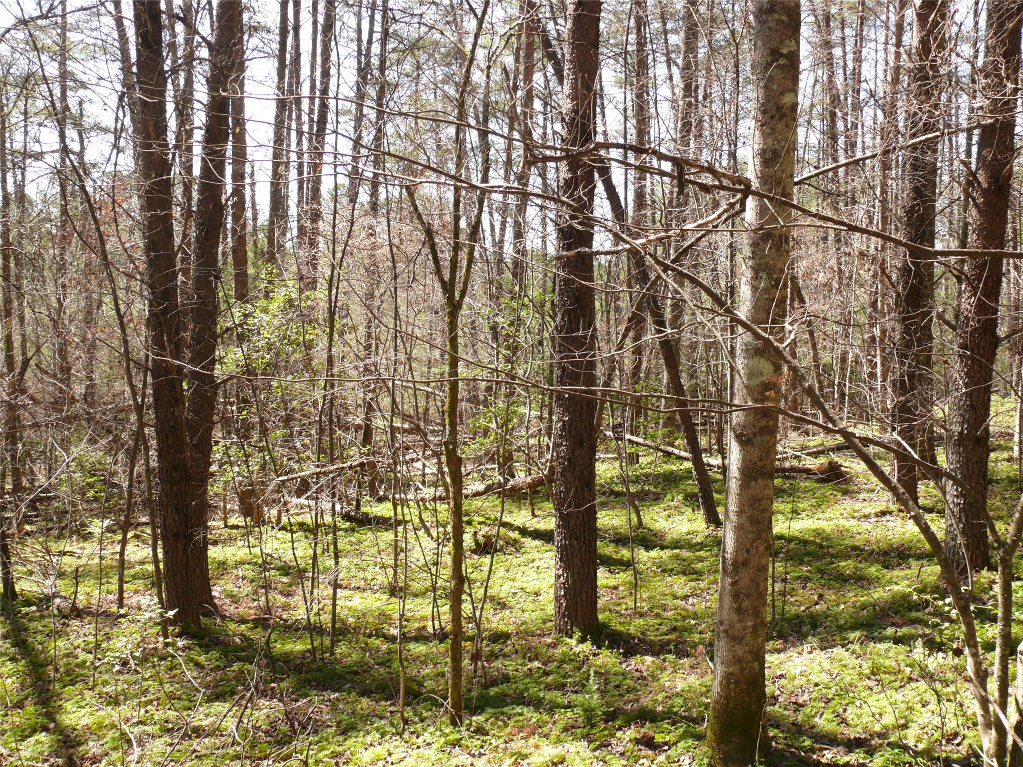 Sweetbriar Farms - Land