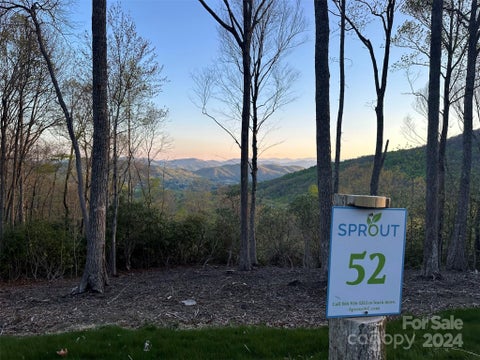 Photo for 0000 Hemlock Grove Trail Lot 52