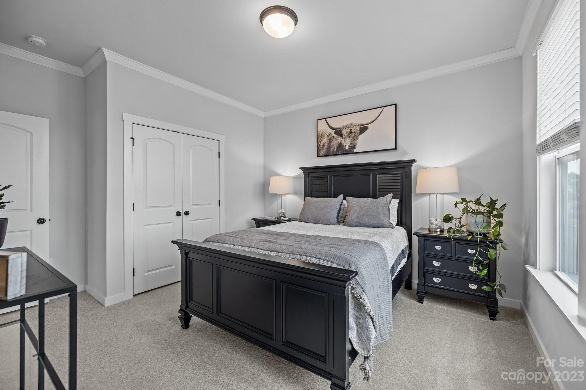 Paddlers Cove - Residential