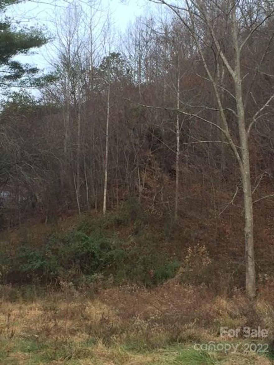 This homesite offers privacy and views in Leicester.  Over 3 acres of sloping privacy.  Open Use, only restriction is single wides but there is no document that states this.     There is a creek with bridge which you will go over, then take the road at the left not the driveway to the right of the road. The property is not connected to creek.  Come see!