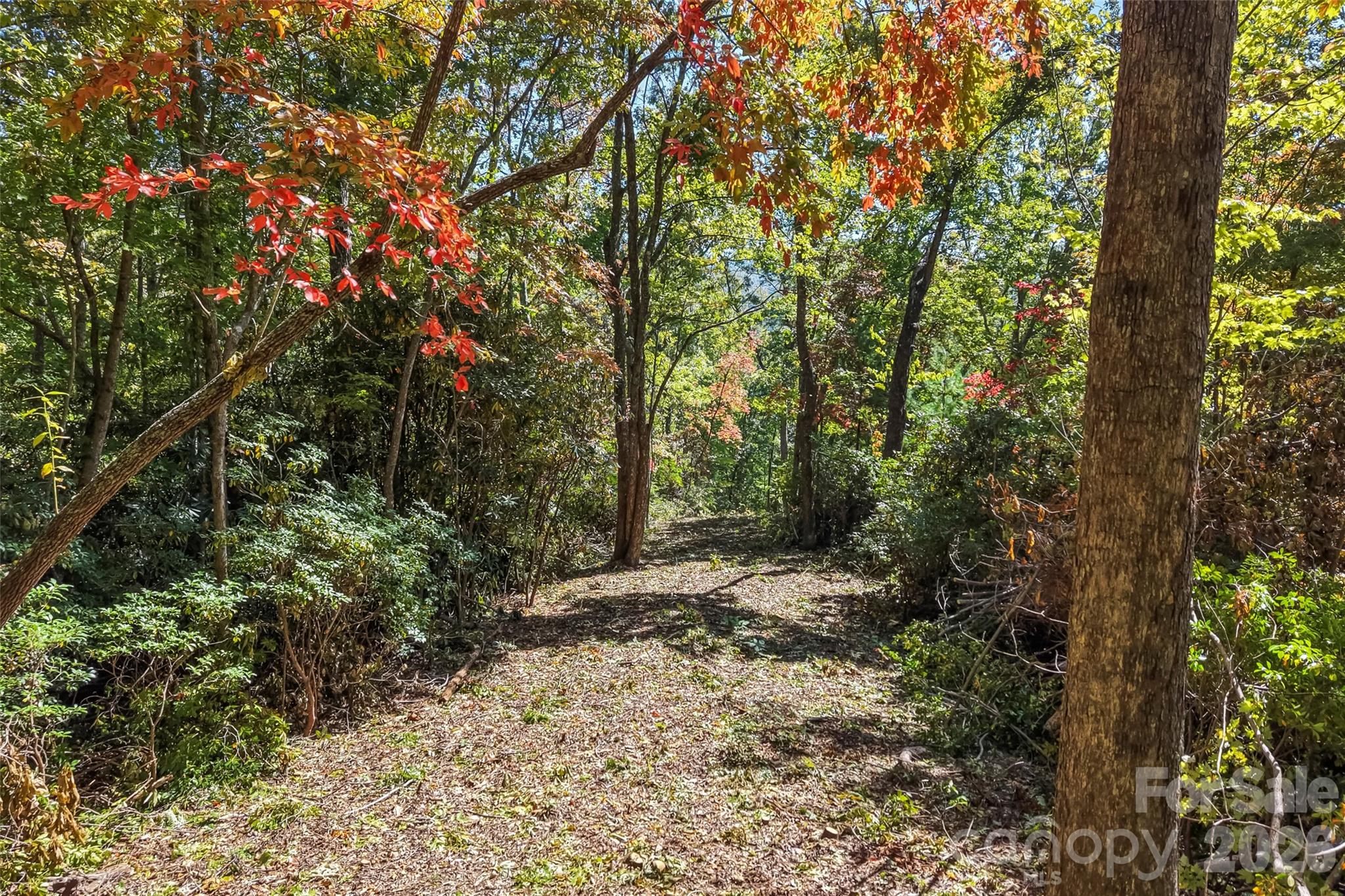 605 Lower Loop Drive