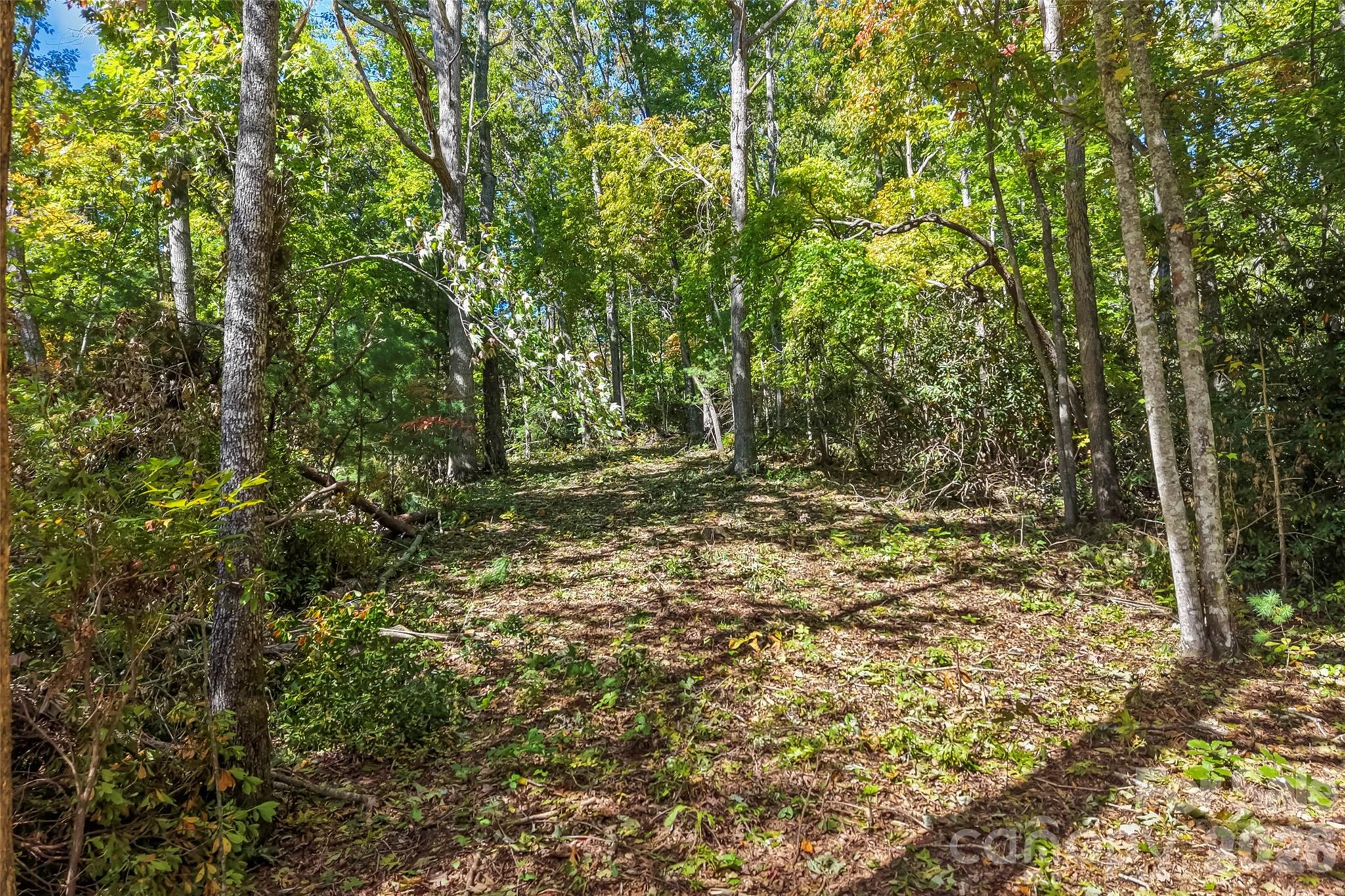 605 Lower Loop Drive