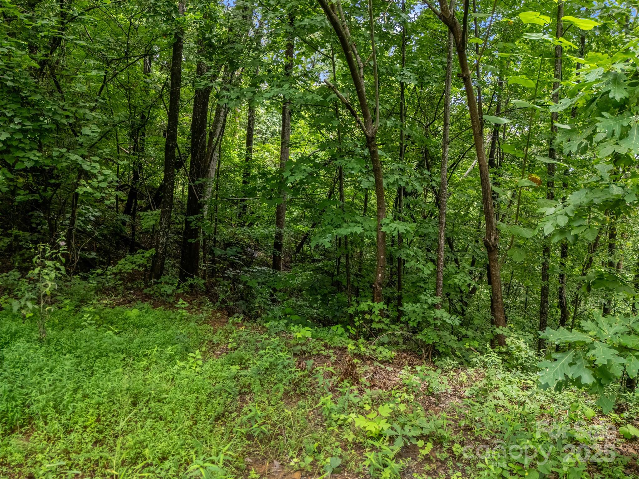 Riverbend Highlands - Land