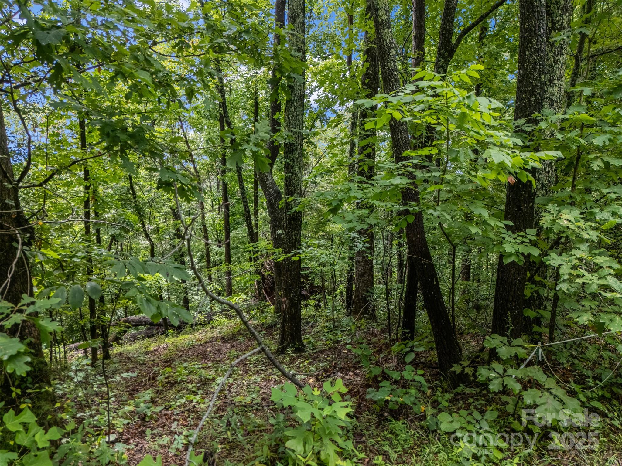 Riverbend Highlands - Land