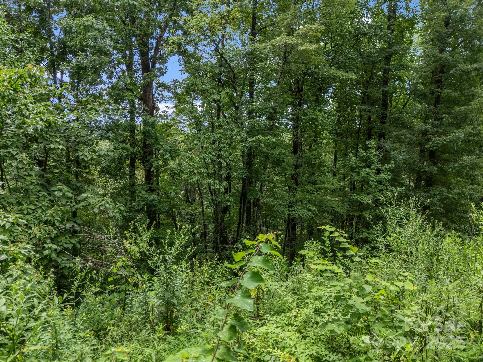 Riverbend Highlands - Land