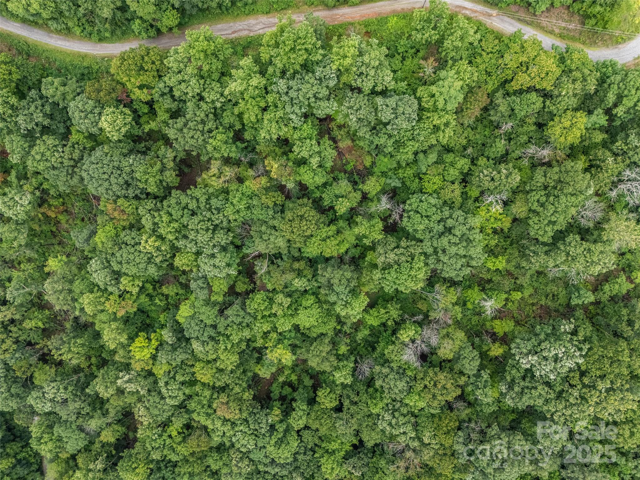 Riverbend Highlands - Land