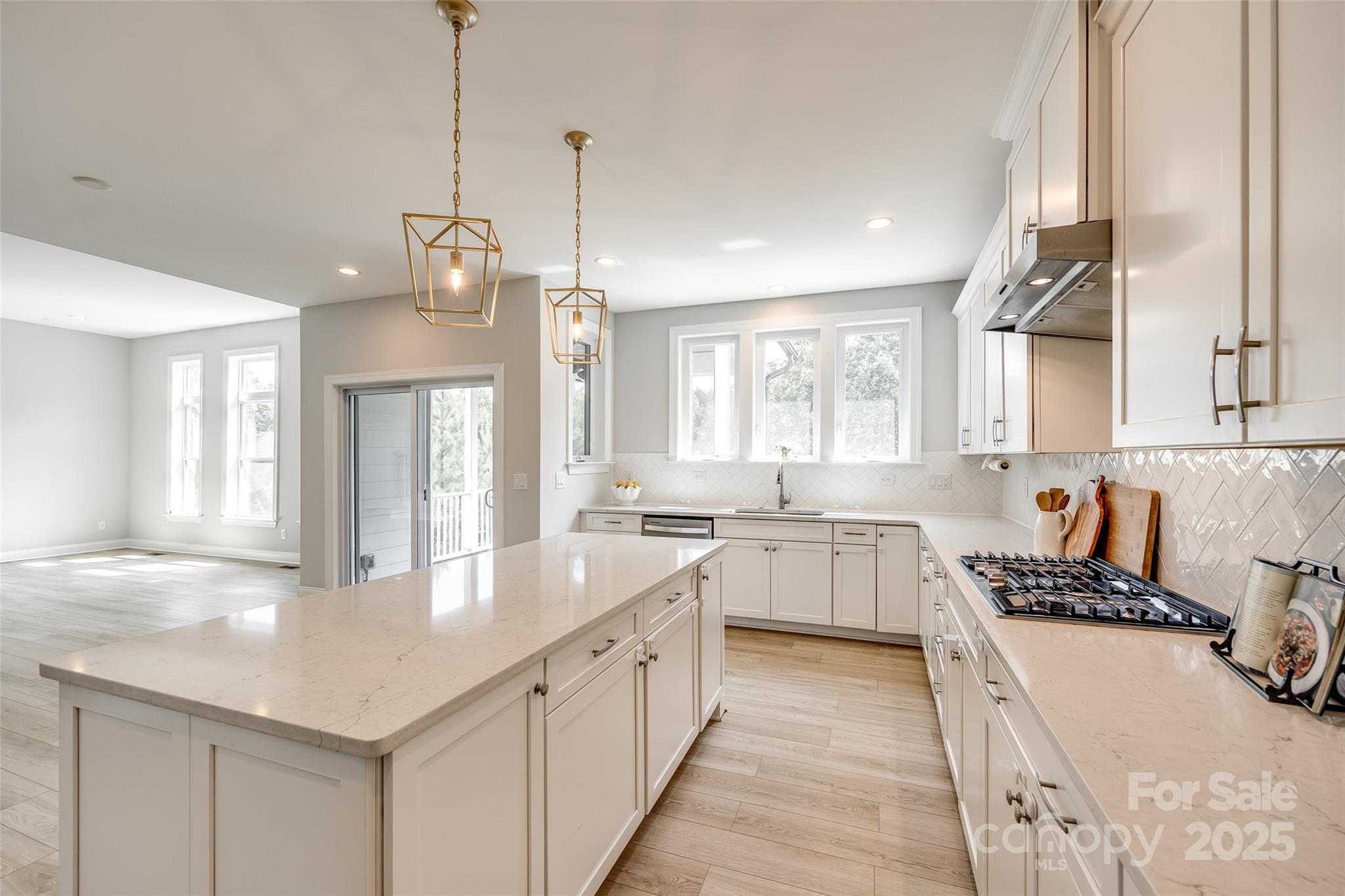 The Manors at Lake Ridge - Residential