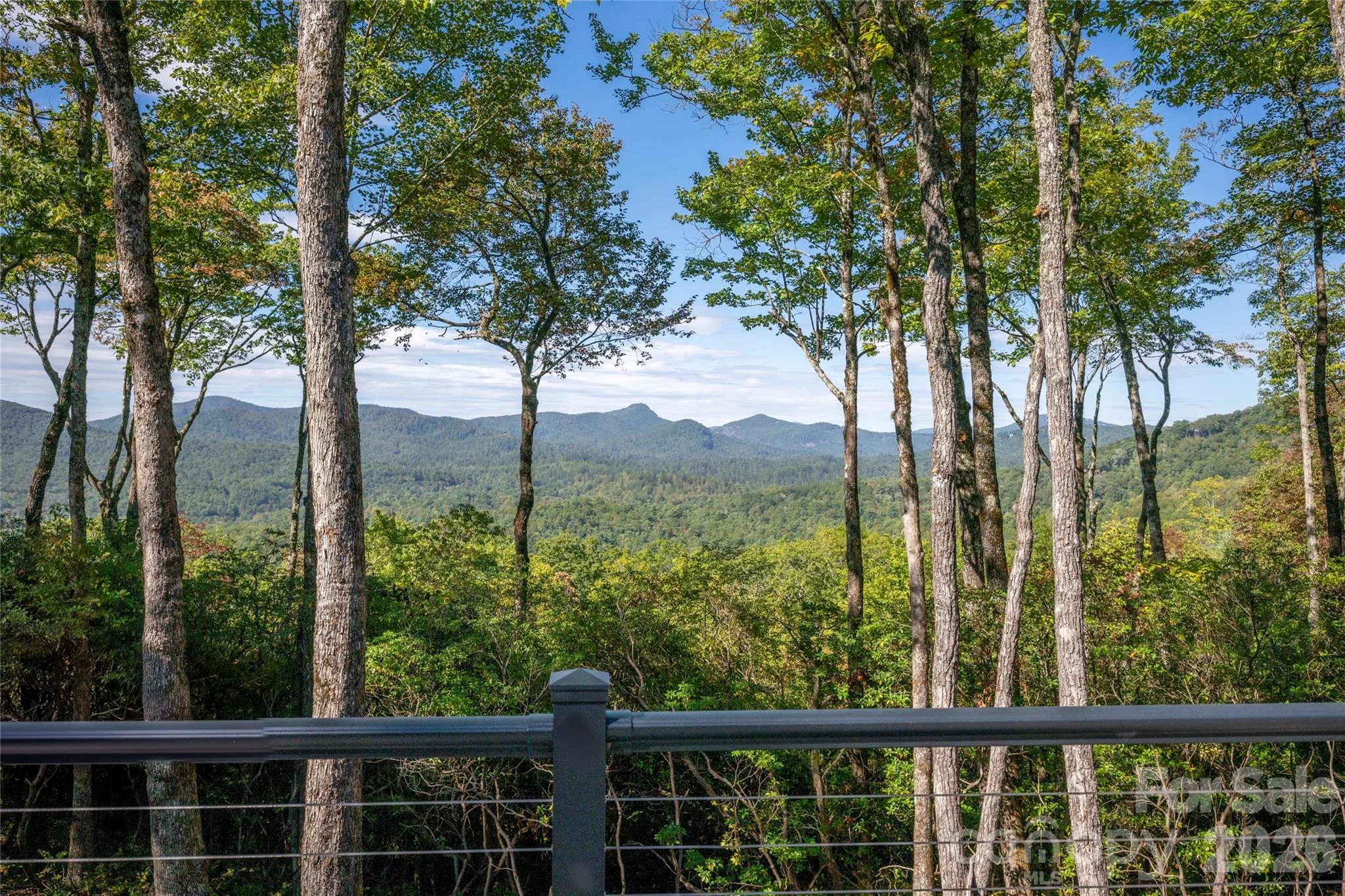 519 Eagle Drive, Sapphire, NC, 28774