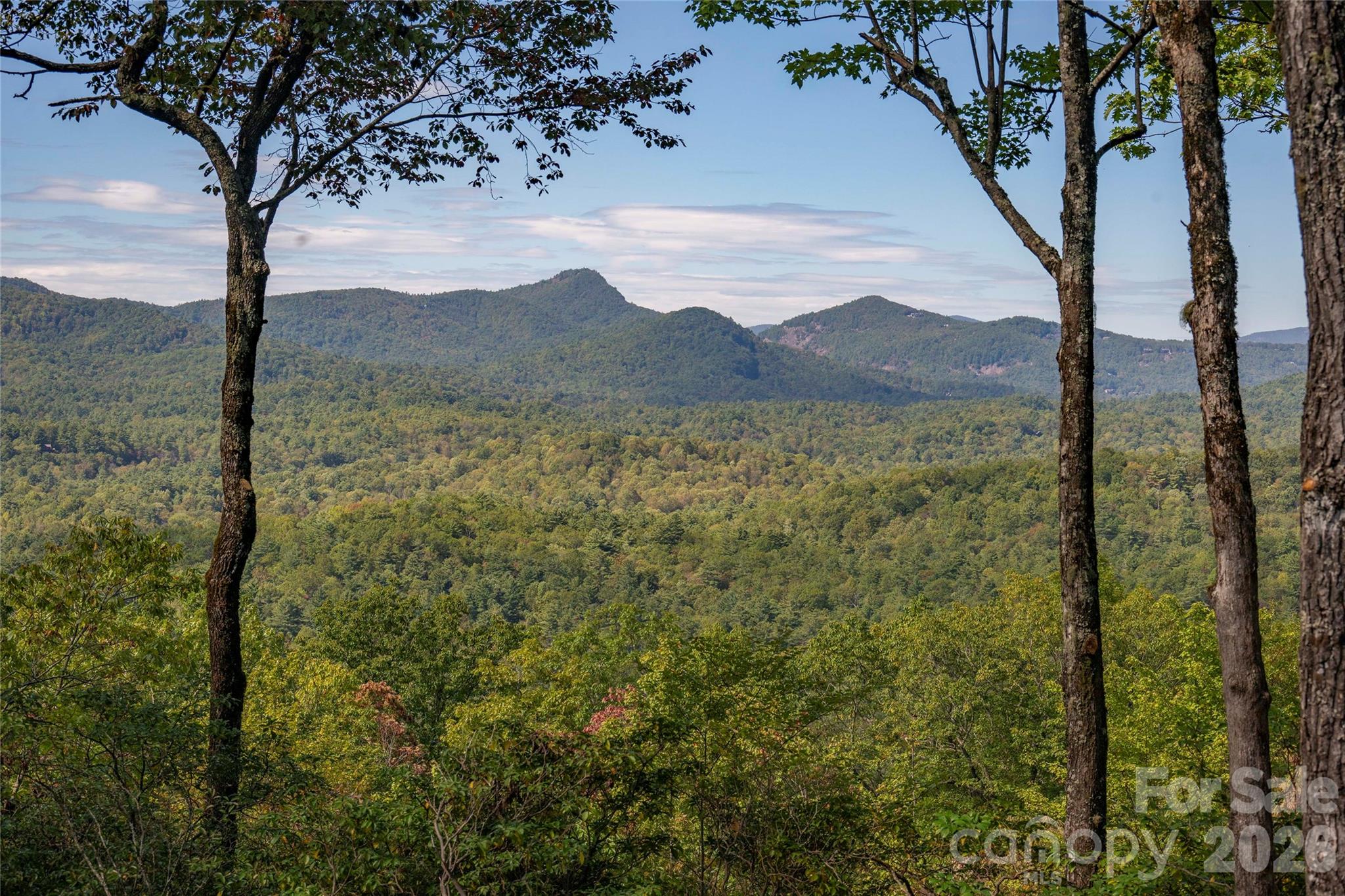 Bear Wallow Springs - Residential
