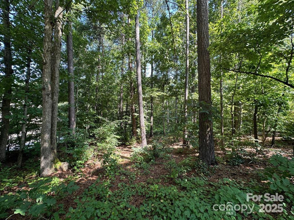 32 Miners Creek Drive