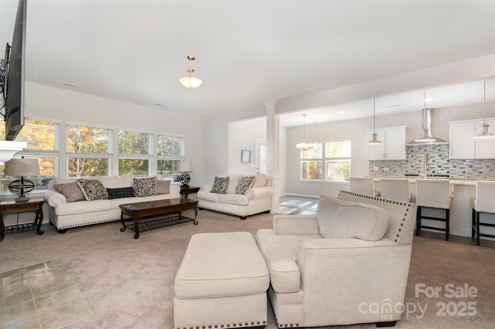 The Pinnacle at Handsmill - Residential