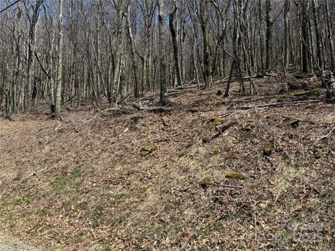 244 & 245 Grouse Thicket Lane Mars Hill NC 28754