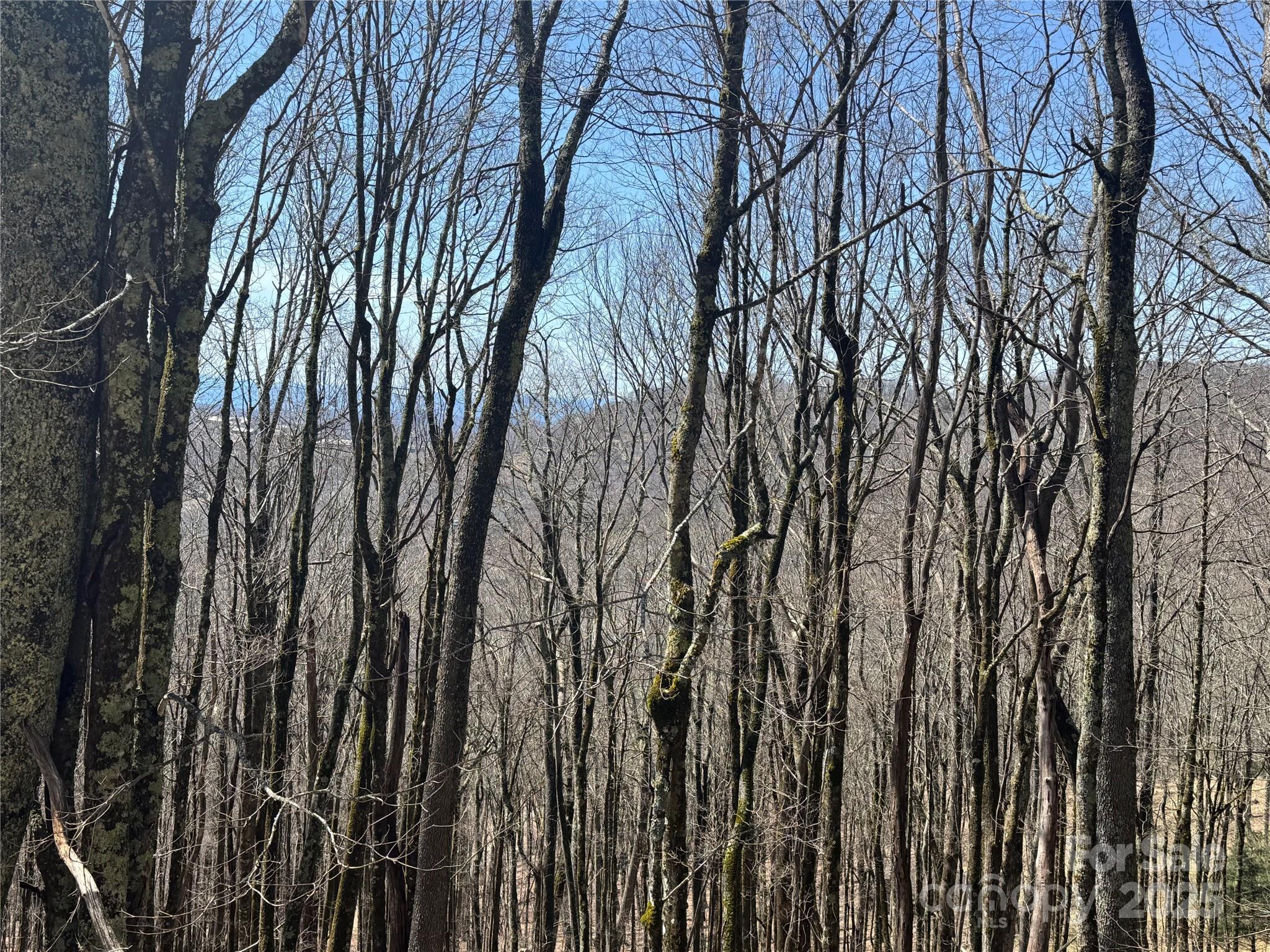 244 & 245 Grouse Thicket Lane