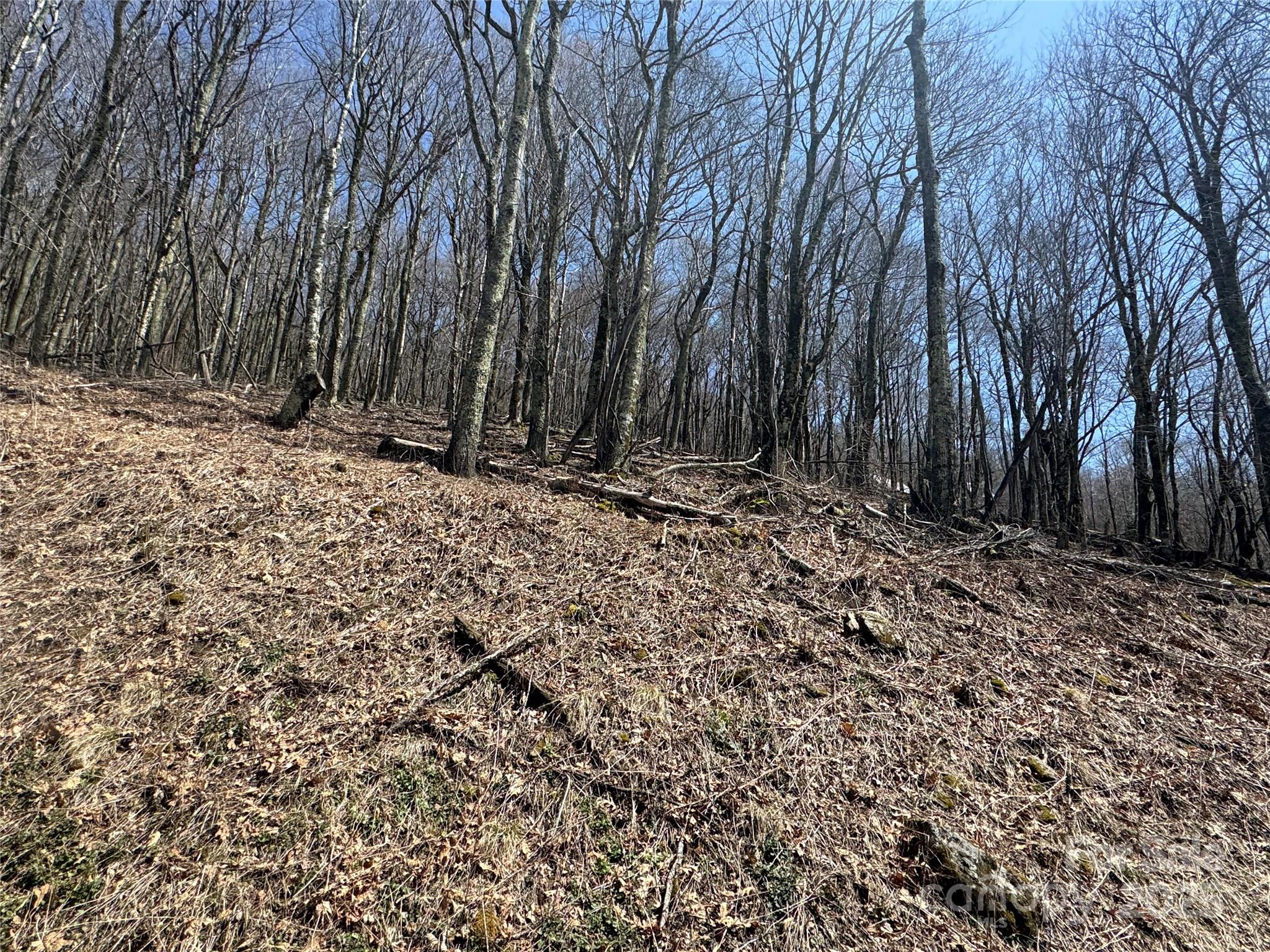 244 & 245 Grouse Thicket Lane