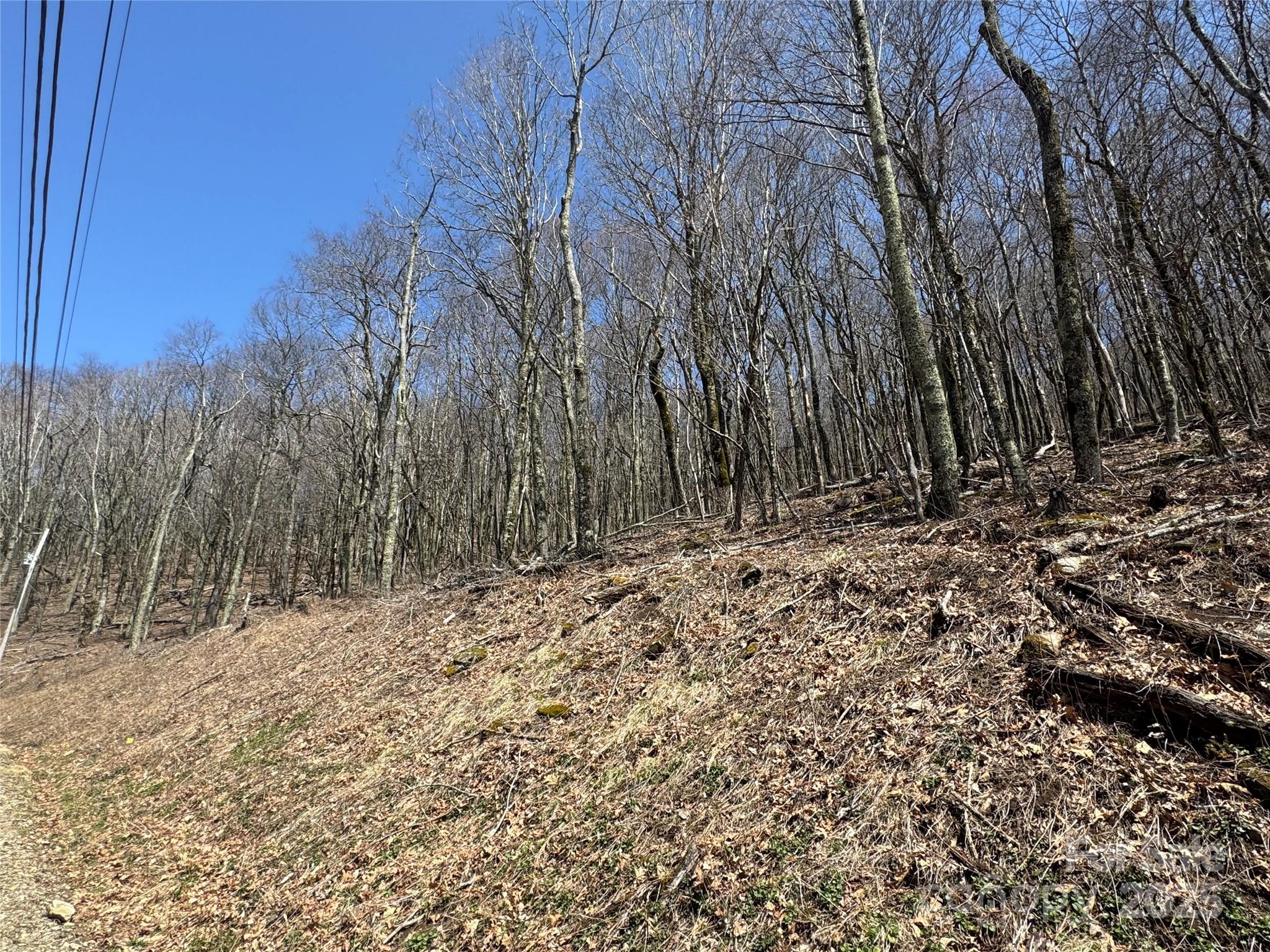 244 & 245 Grouse Thicket Lane