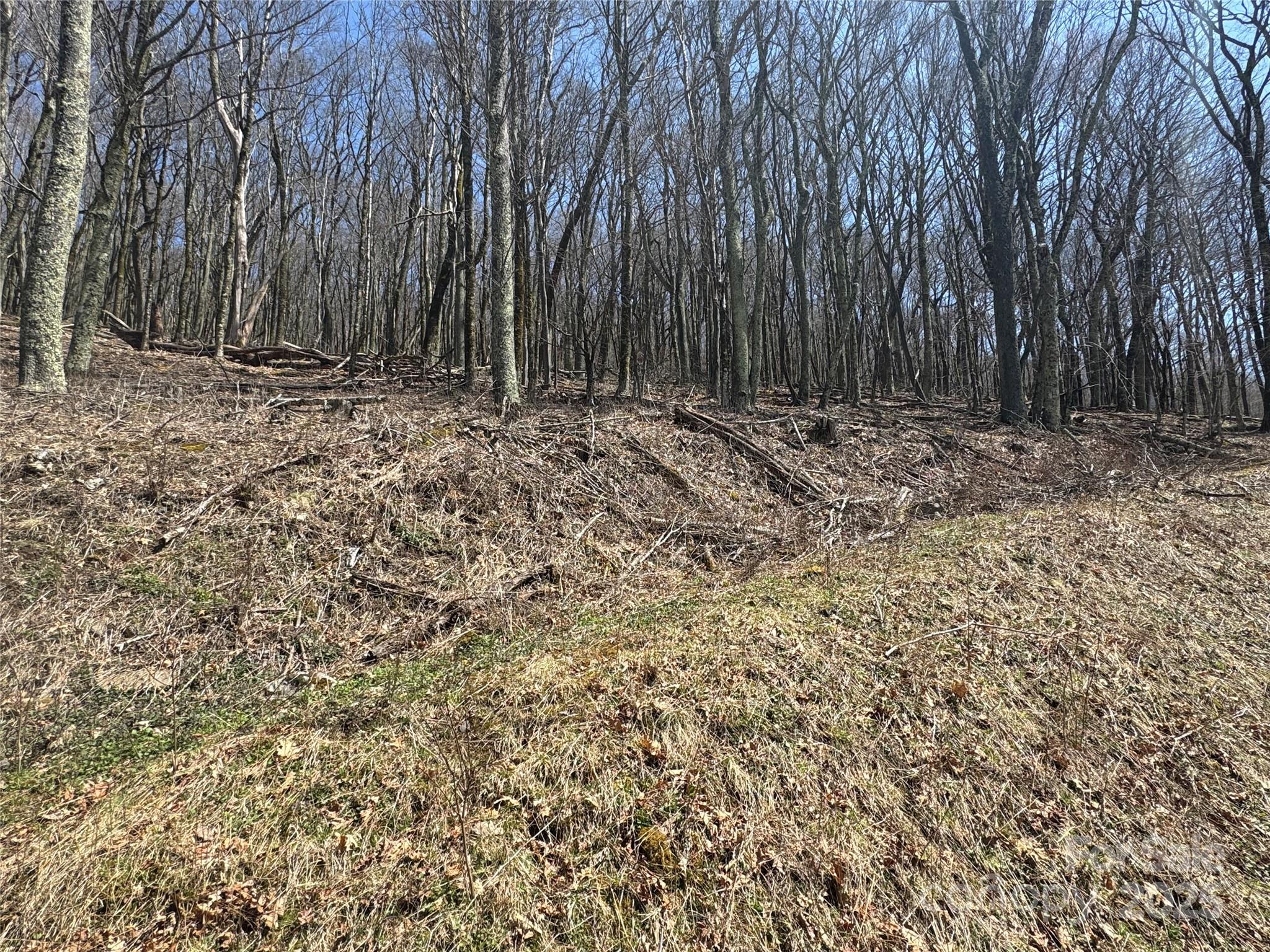 244 & 245 Grouse Thicket Lane