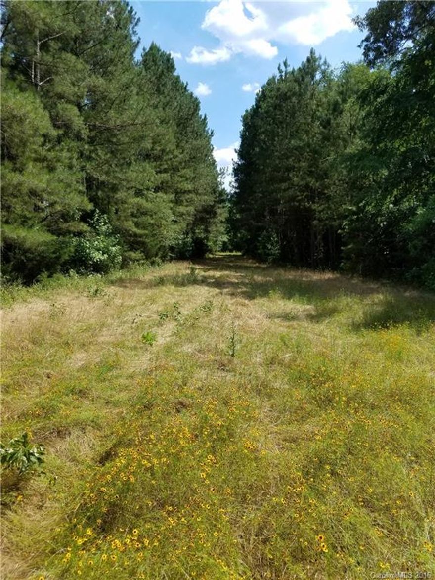 154 +/- acres 5 minutes from exit 55 on I-77. 45 minutes from Charlotte & 30 minutes from Columbia. Great recreational land bordering Bull Skin Creek with excellent hunting, managed timber assets of various ages with pine and hardwood stands. 

Private area with 2,500+ feet of road frontage providing future development potential makes this a great short/long term investment especially with the new tire plant being built a few miles away. This is a perfect rural retreat with many home sites.