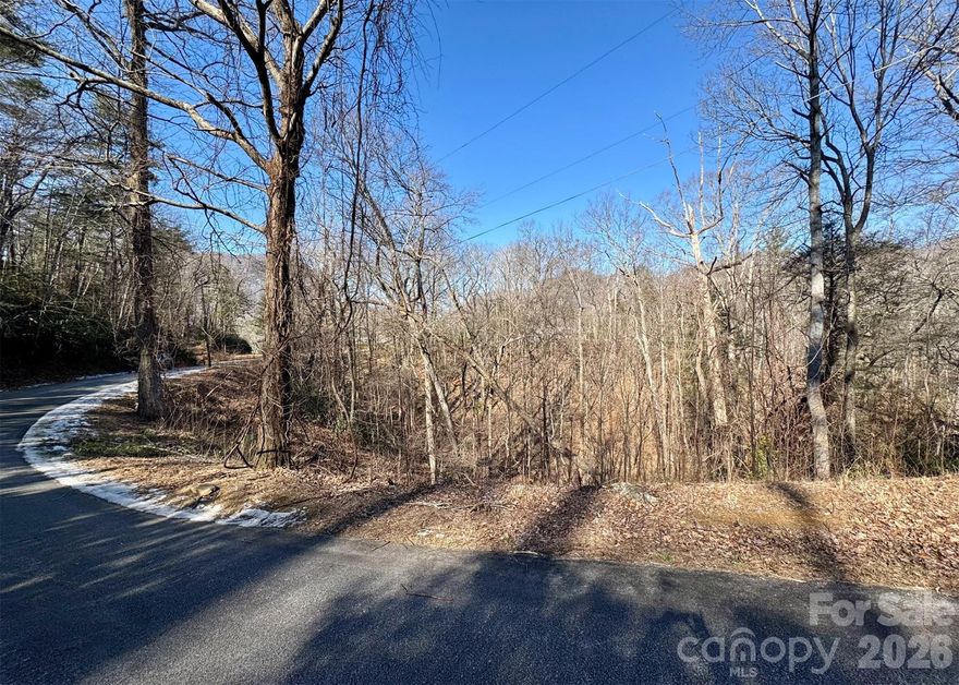 .44 +/-  Acre lot on Asa Gray Dr in Lake Lure, N.C.  Steep, sloped terrain ideal for a mountain or elevated home.  Conveniently located near Chimney Rock and just minutes from Lake Lure beach, dining, and outdoor recreation.  Lake Lure is actively rebuilding and on track to return as a premier destination in Western N.C.  Great opportunity for a future homesite or investment property.
