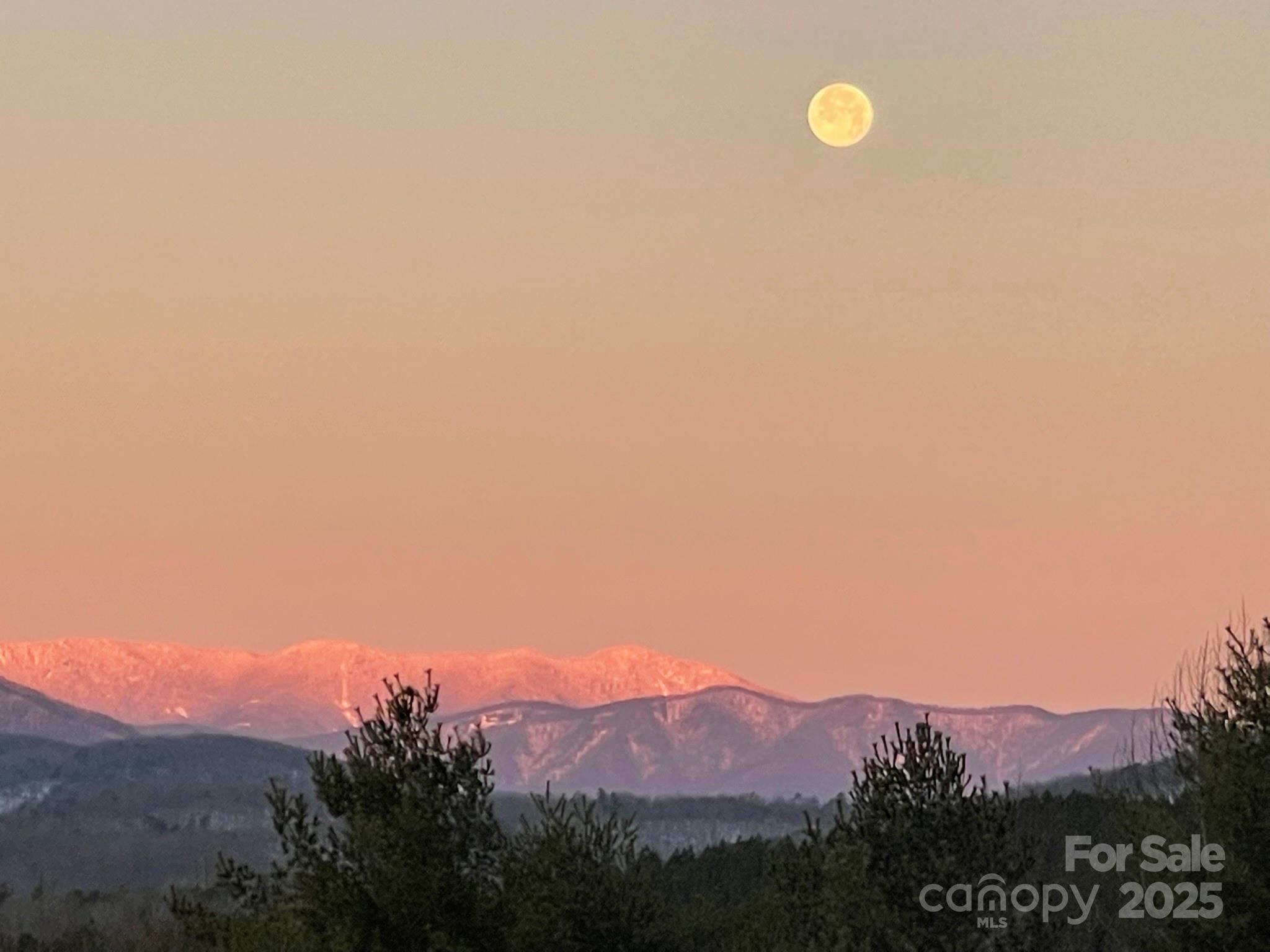 Bear Cliff - Residential