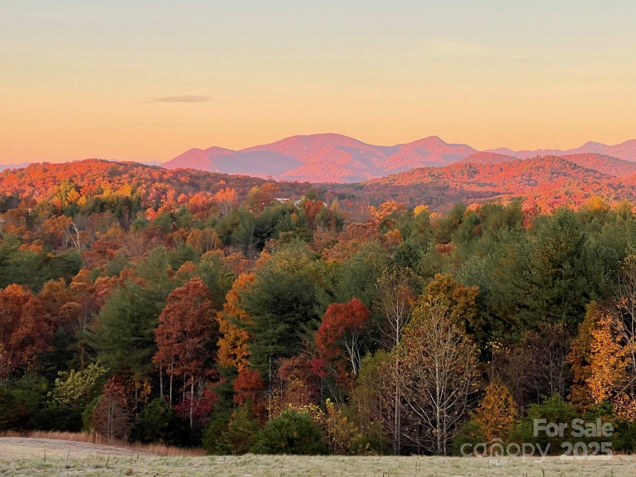 Bear Cliff - Residential