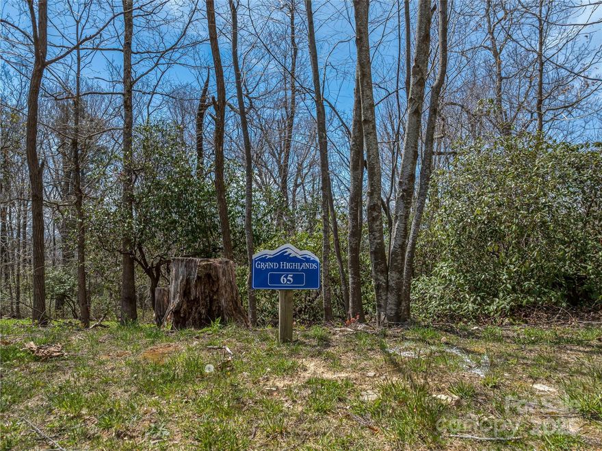 Beautiful west facing lot in Grand Highlands at Bearwallow Mountain. Easy-build site, spacious and private. Incredible hardwoods, mountain laurel and ancient Rhododendron. Overlooks HOA greenspace and community barn. Community features Clubhouse, gated entrances, hiking trails, tennis/pickle ball court(s) and dog-park. Vibrant social scene.