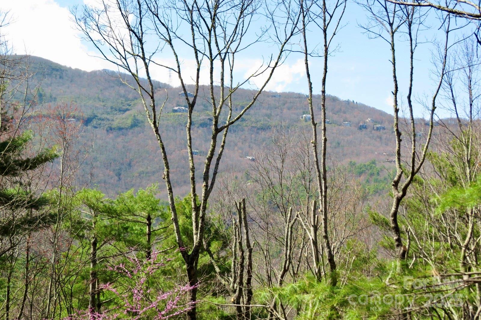 Lake Toxaway Estates - Residential