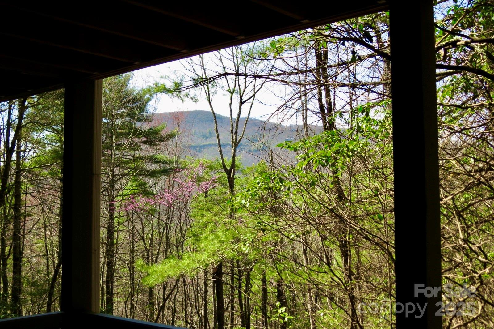 Lake Toxaway Estates - Residential